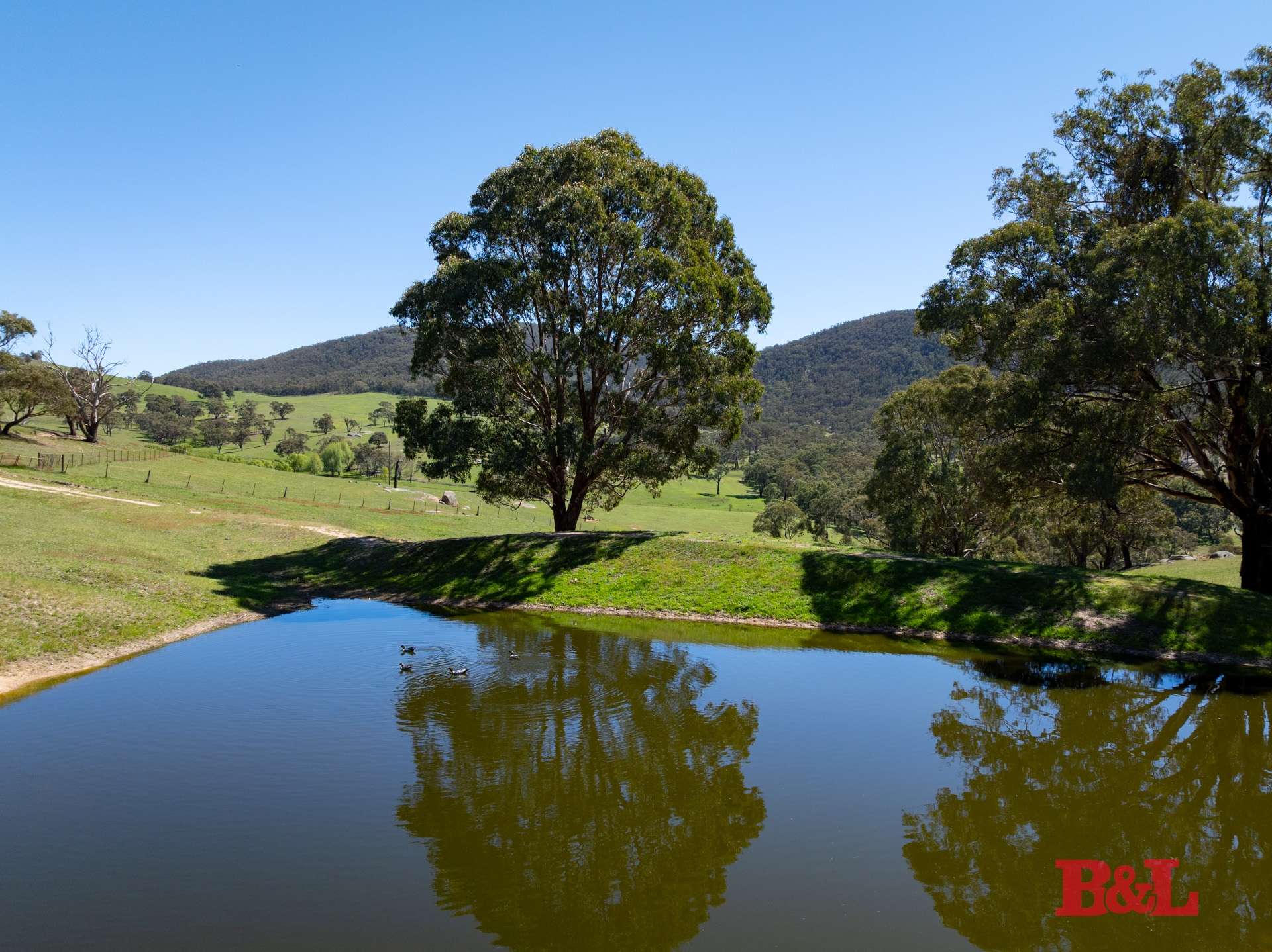 1977 Tarana Road, Gemalla For Sale by Farmbuy.com - image 24