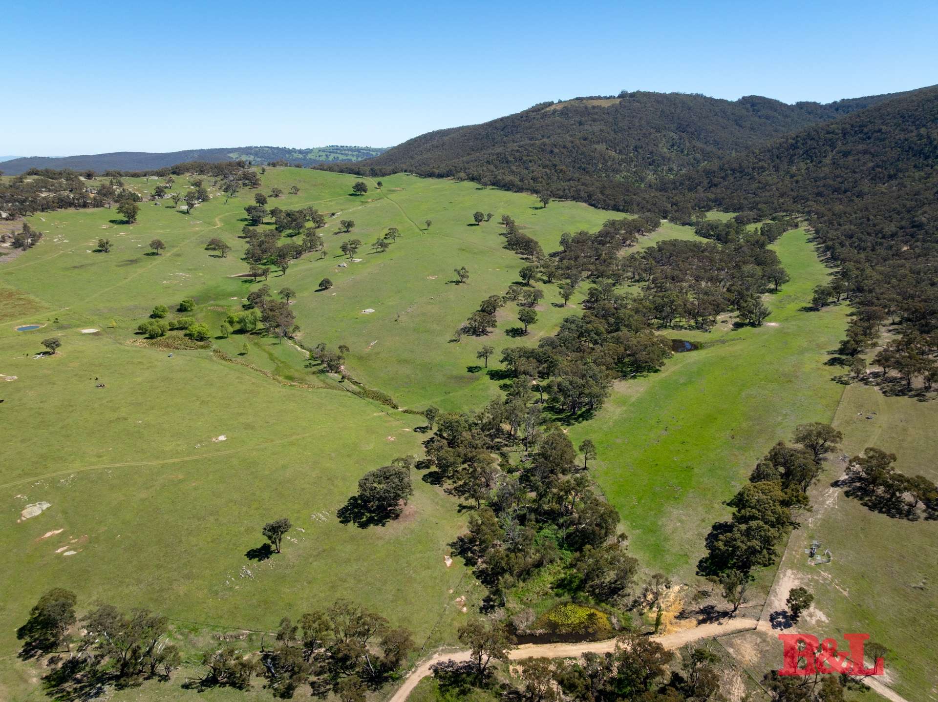 1977 Tarana Road, Gemalla For Sale by Farmbuy.com - image 3
