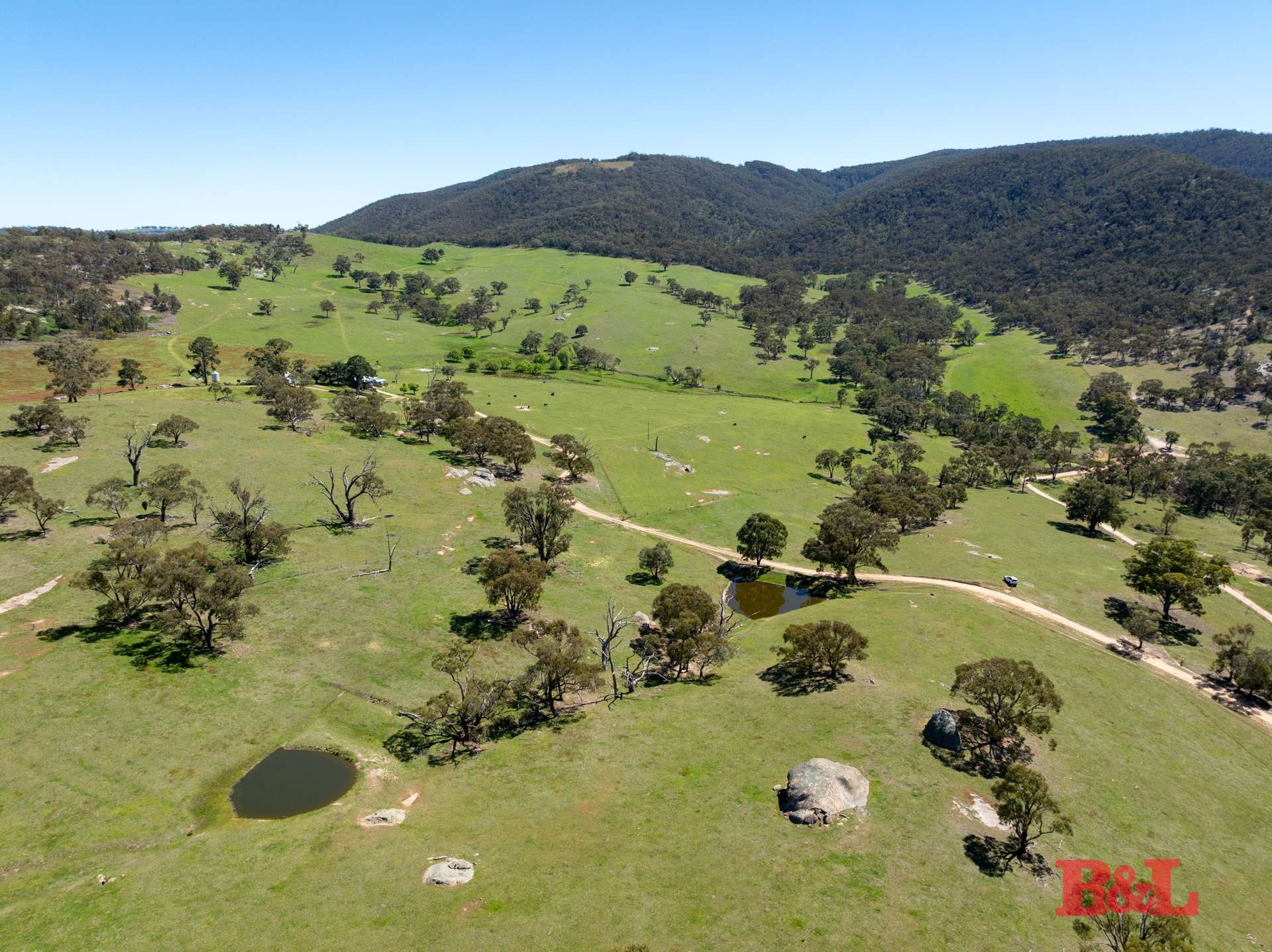 1977 Tarana Road, Gemalla For Sale by Farmbuy.com - image 4