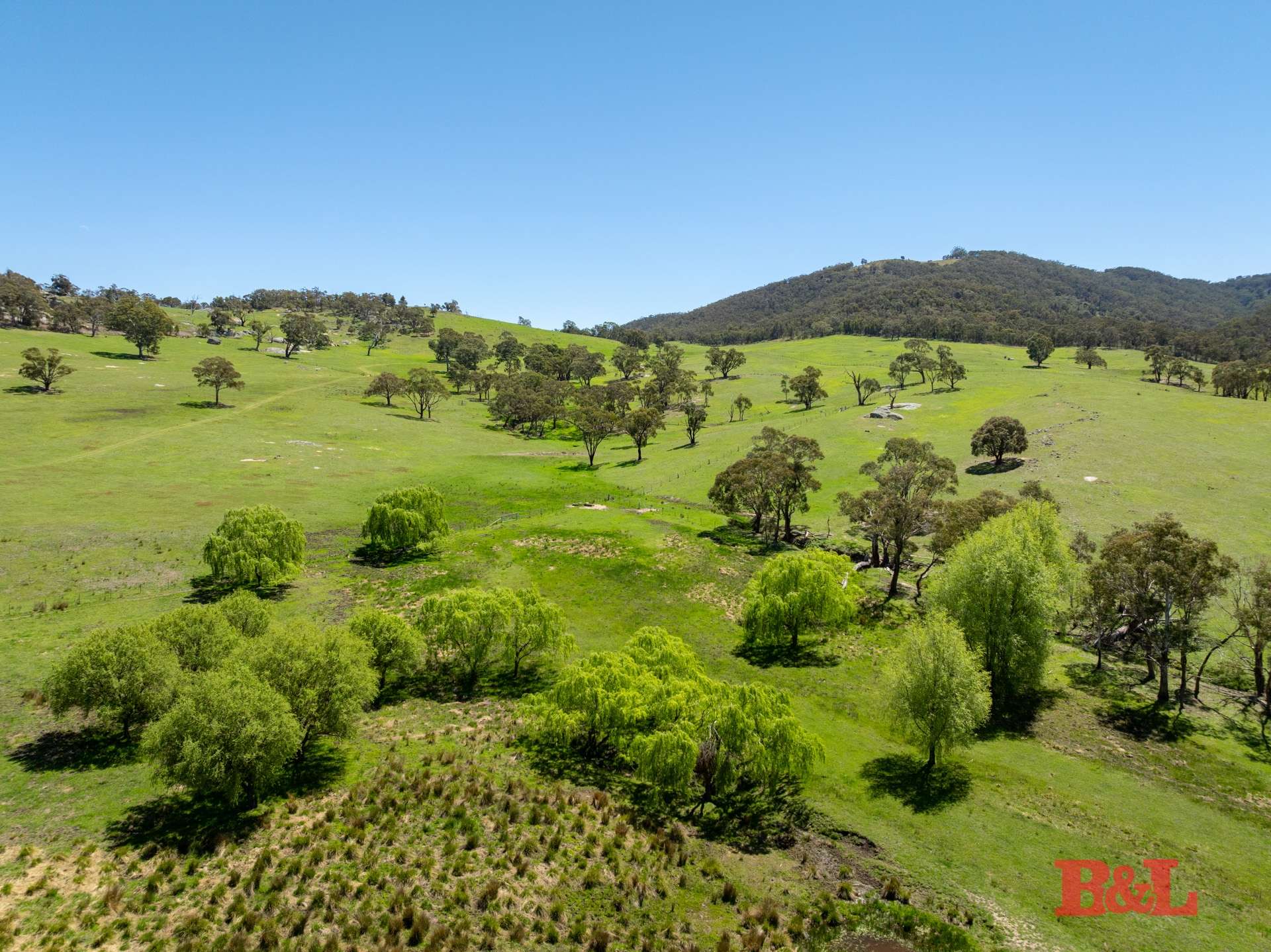 1977 Tarana Road, Gemalla For Sale by Farmbuy.com - image 23