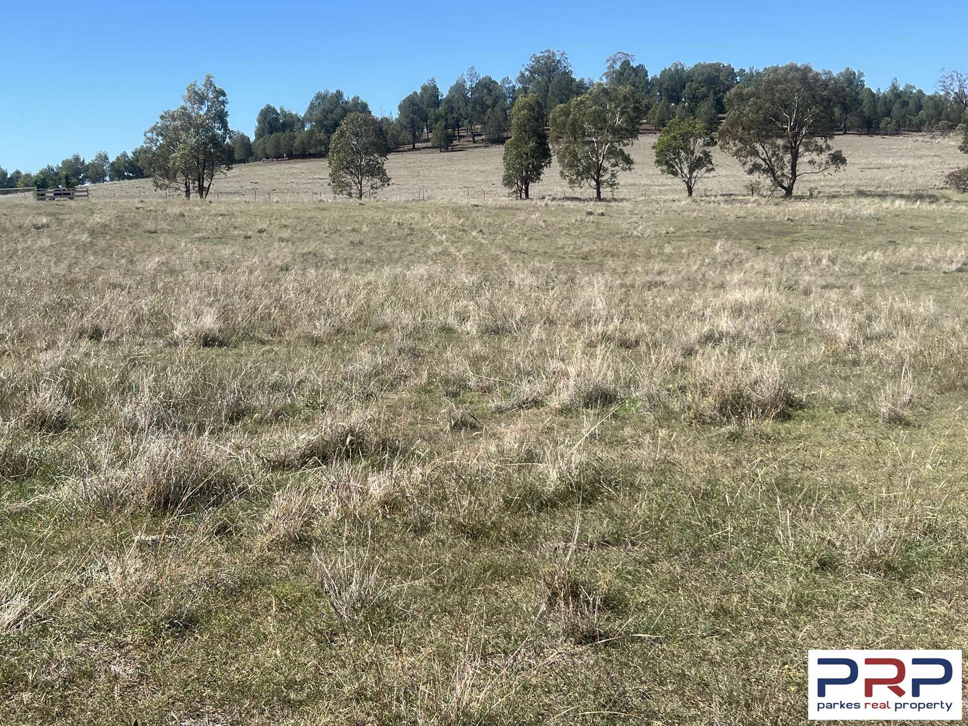 12 Cons Lane, Parkes For Sale by Farmbuy.com - image 33