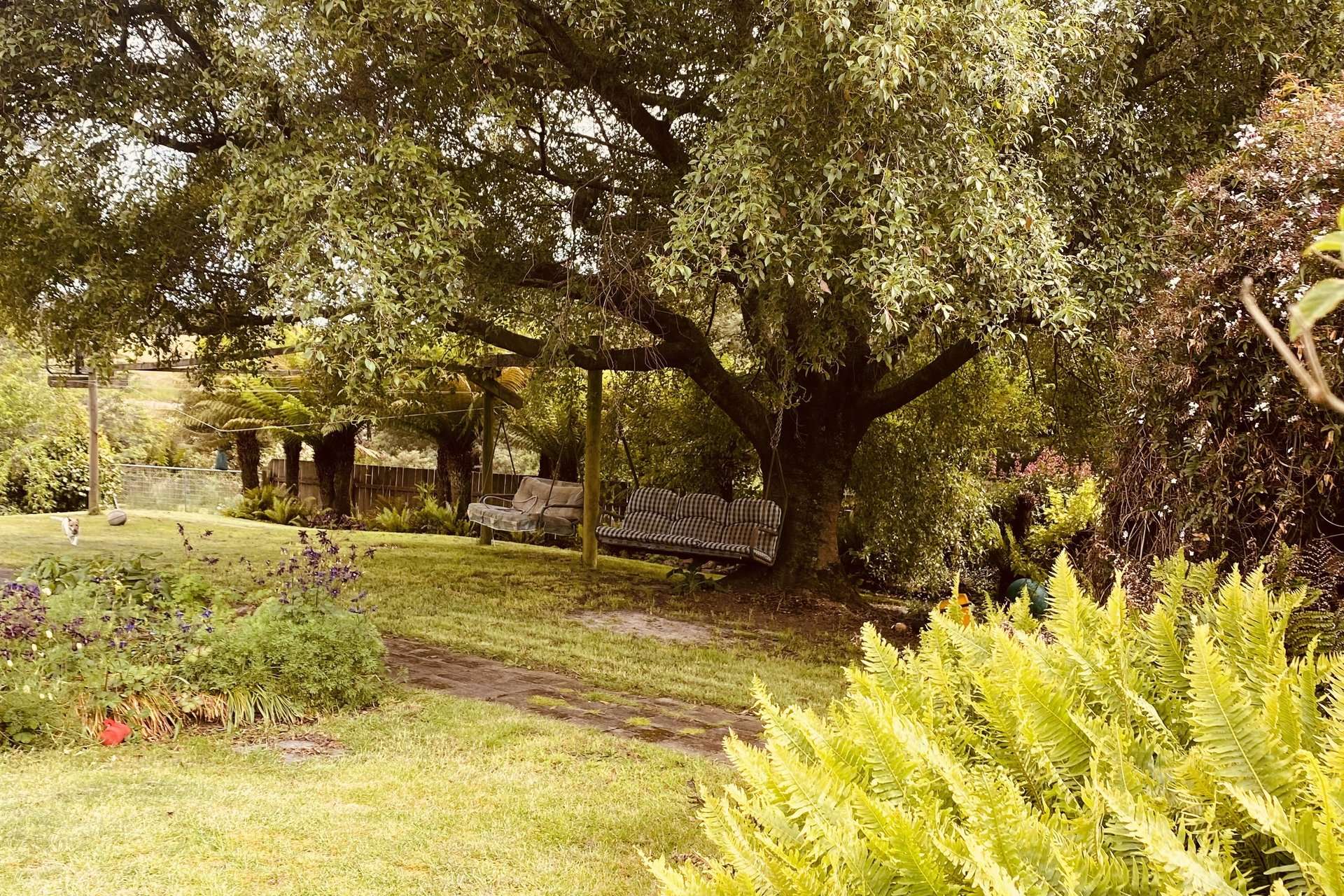 651 Golconda Road, Lebrina For Sale by Farmbuy.com - image 18