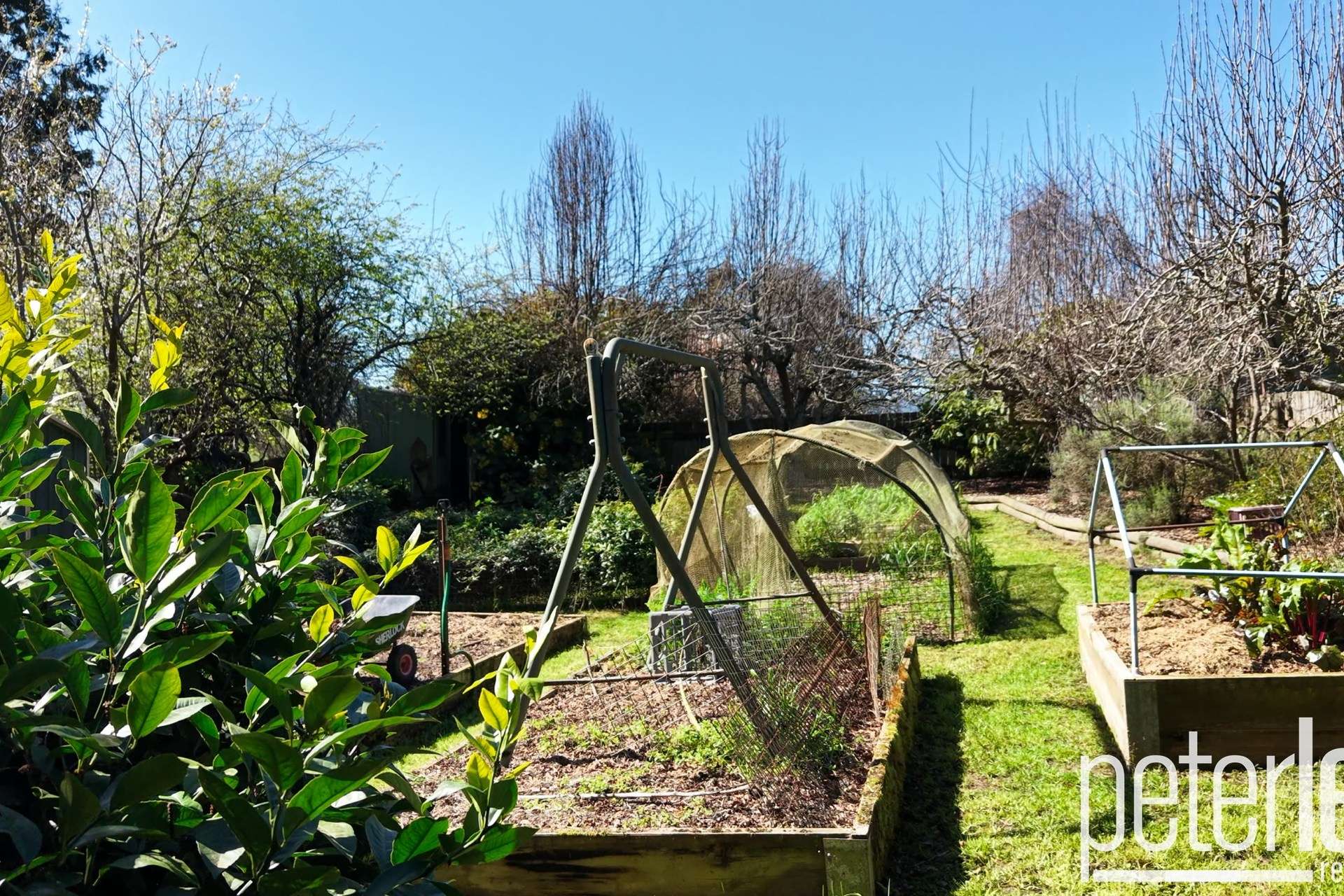 651 Golconda Road, Lebrina For Sale by Farmbuy.com - image 30
