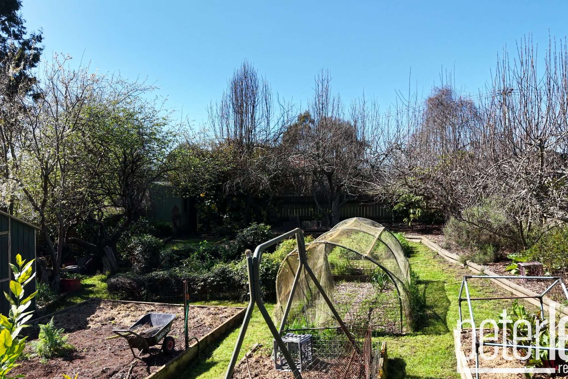 651 Golconda Road, Lebrina For Sale by Farmbuy.com - image 29