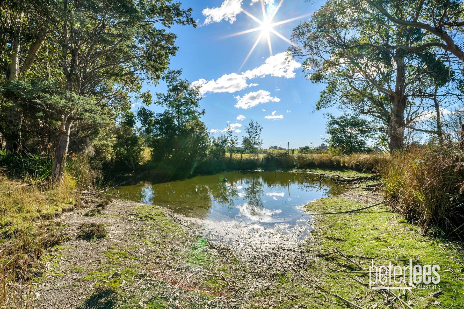 651 Golconda Road, Lebrina For Sale by Farmbuy.com - image 25