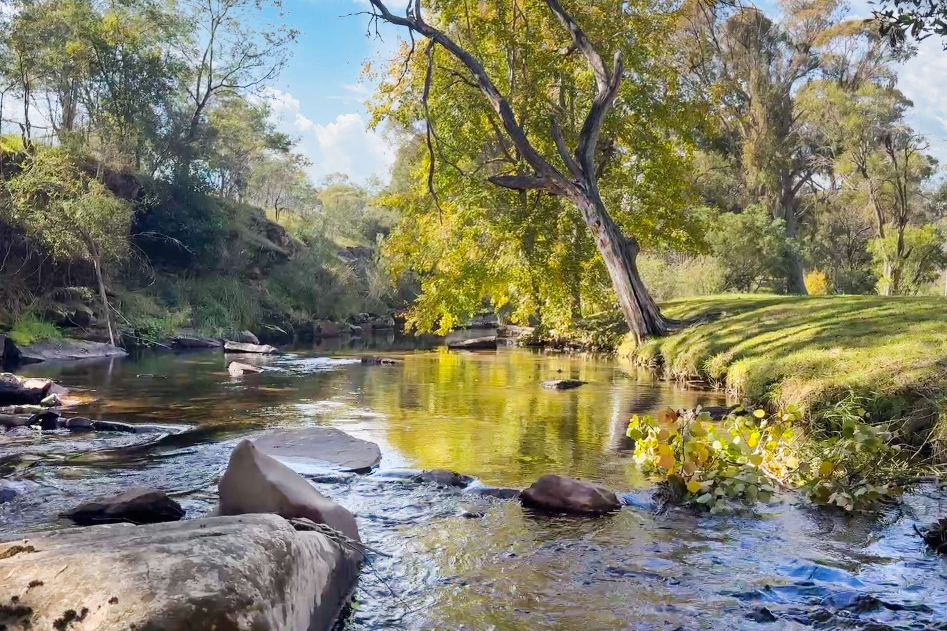 2121 Mt Buller Road, Merrijig For Sale by Farmbuy.com - image 3