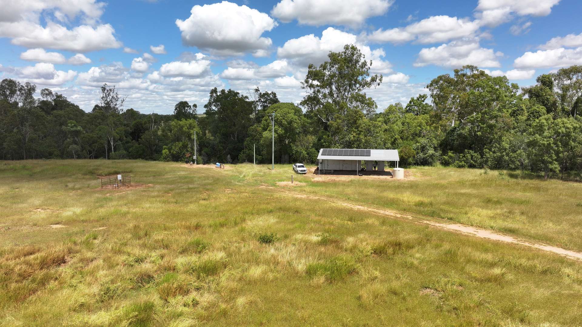 'Boomer' Rookwood Road, Gogango Tender by Farmbuy.com - image 14