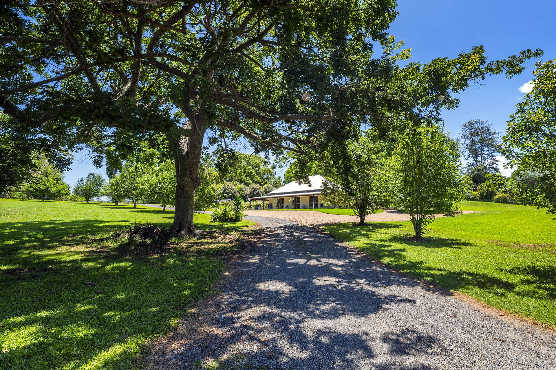 224 North Bank Road, Bellingen For Sale by Farmbuy.com - image 2