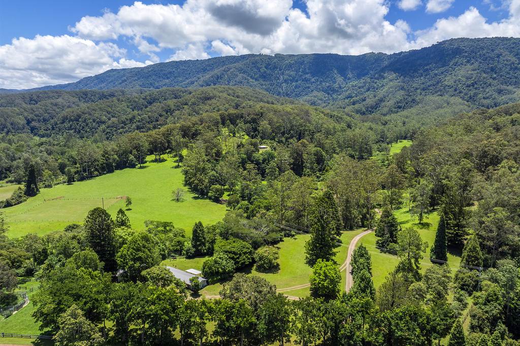 650 Darkwood Road, Thora NSW 2454