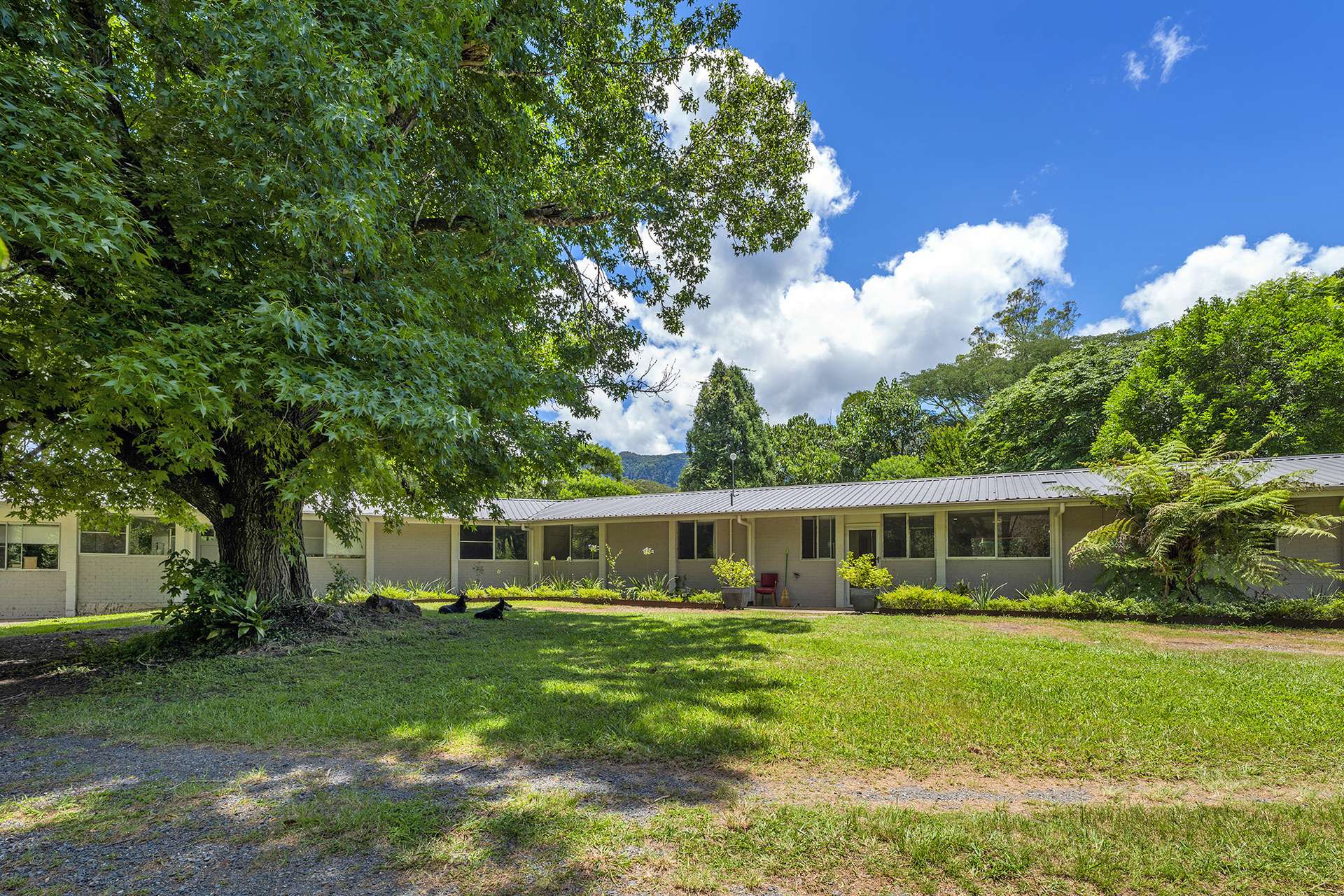 650 Darkwood Road, Thora For Sale by Farmbuy.com - image 21