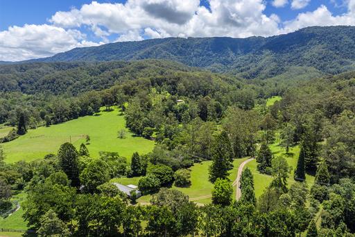 650 Darkwood Road, Thora NSW 2454