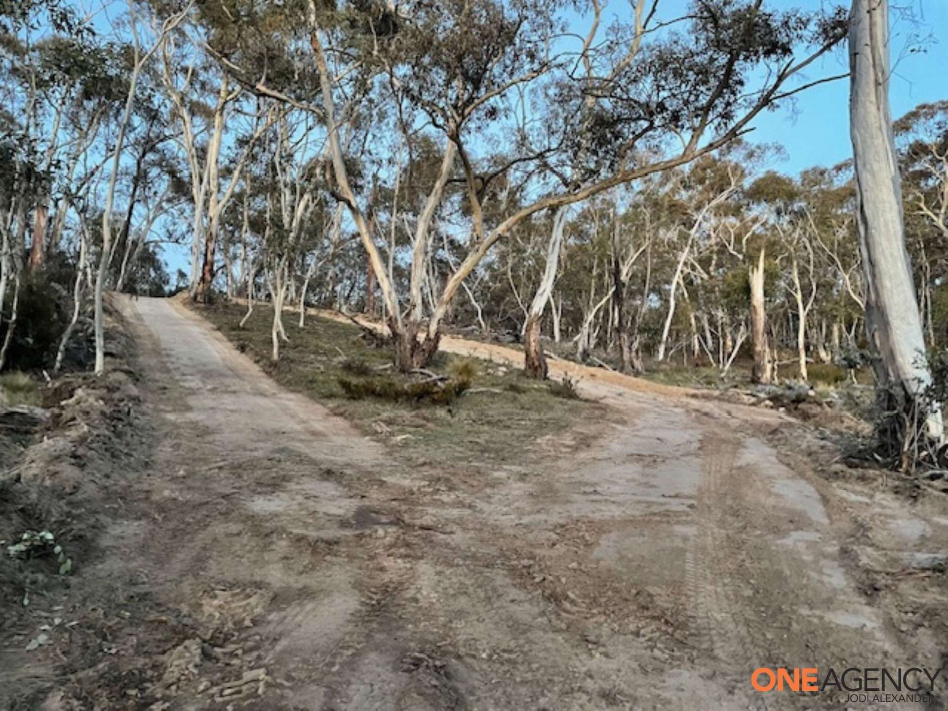 1242 Bobeyan Road, Shannons Flat For Sale by Farmbuy.com - image 22