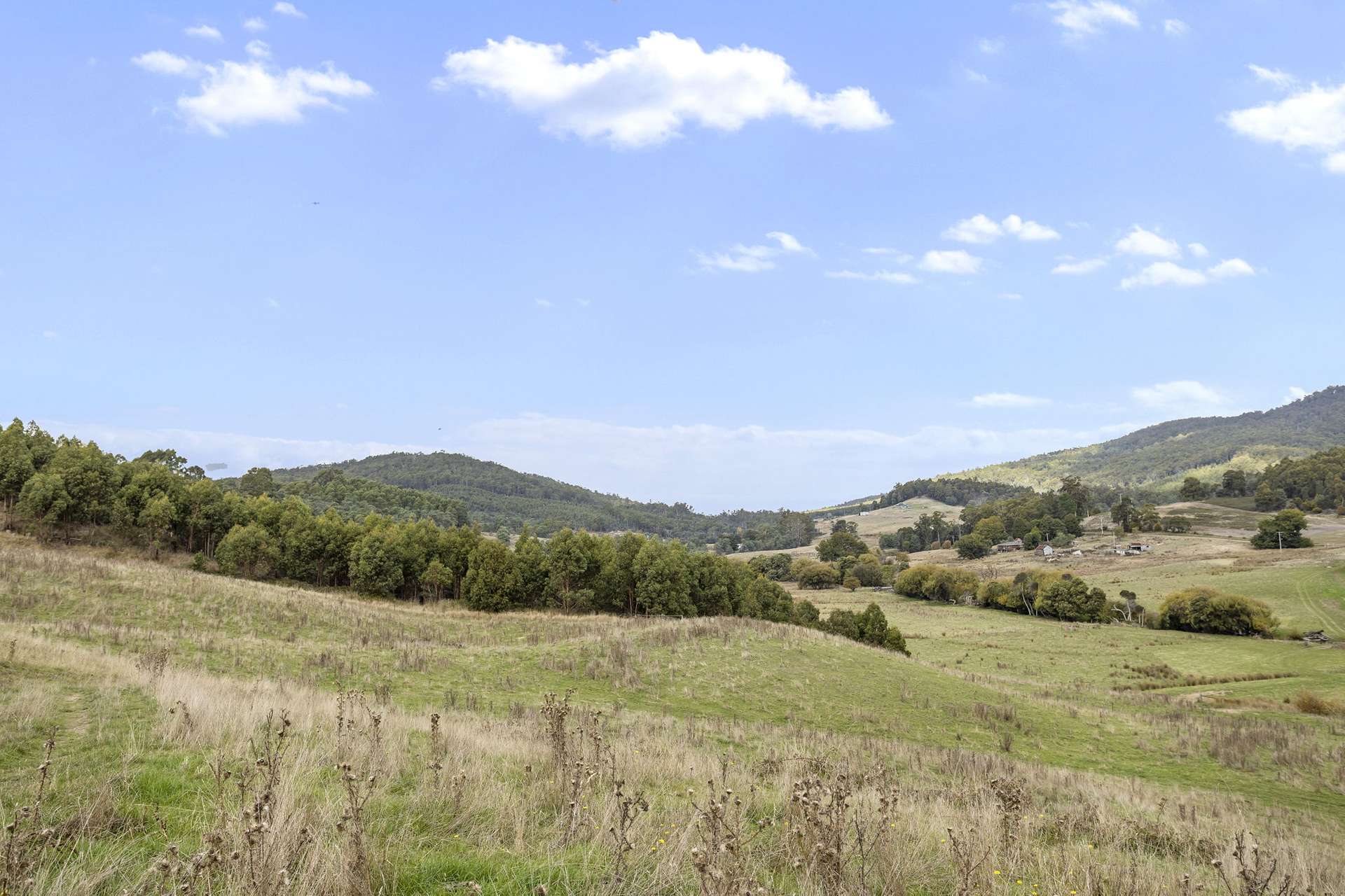 83 Turkey Farm Road, Glengarry For Sale by Farmbuy.com - image 10