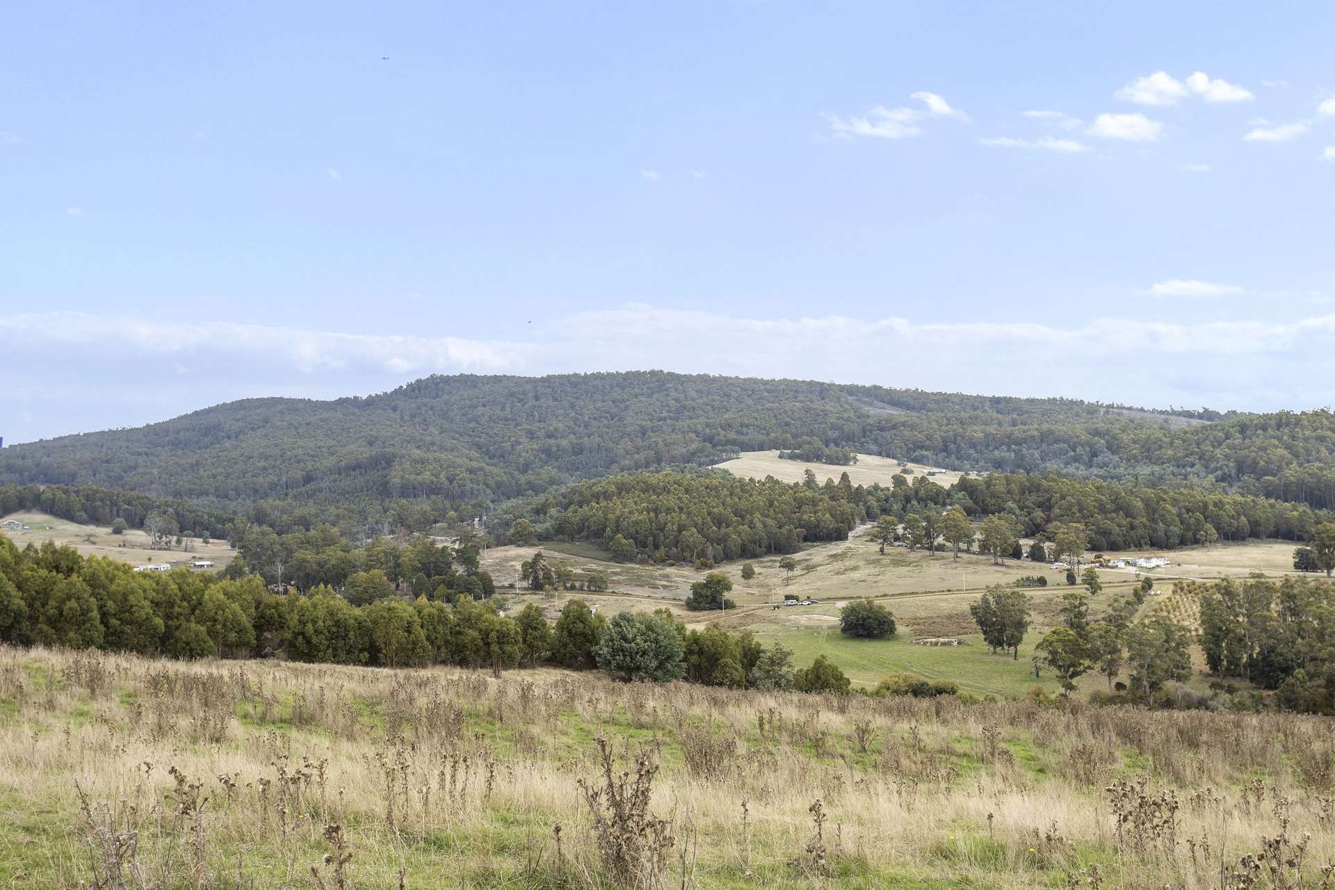 83 Turkey Farm Road, Glengarry For Sale by Farmbuy.com - image 13