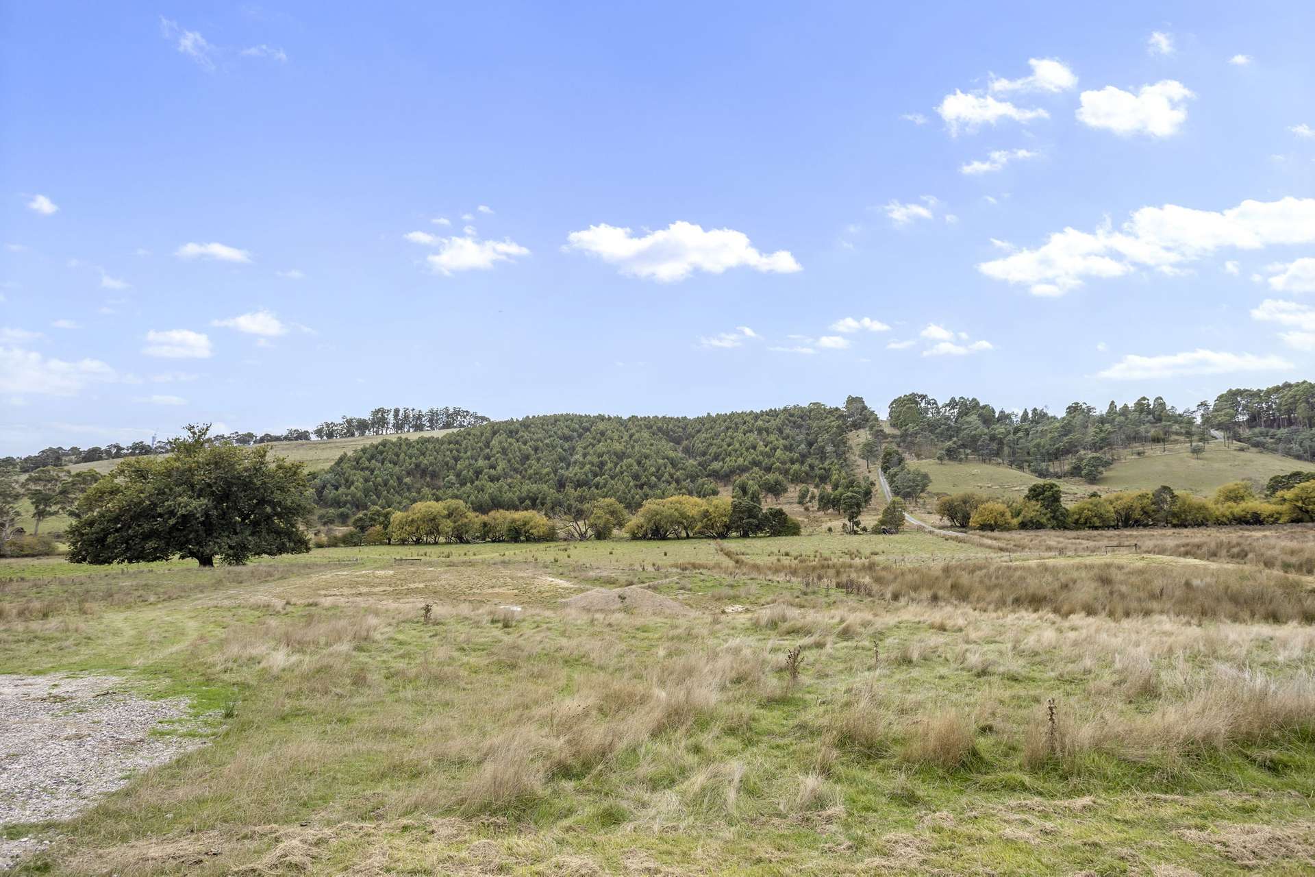 83 Turkey Farm Road, Glengarry For Sale by Farmbuy.com - image 7