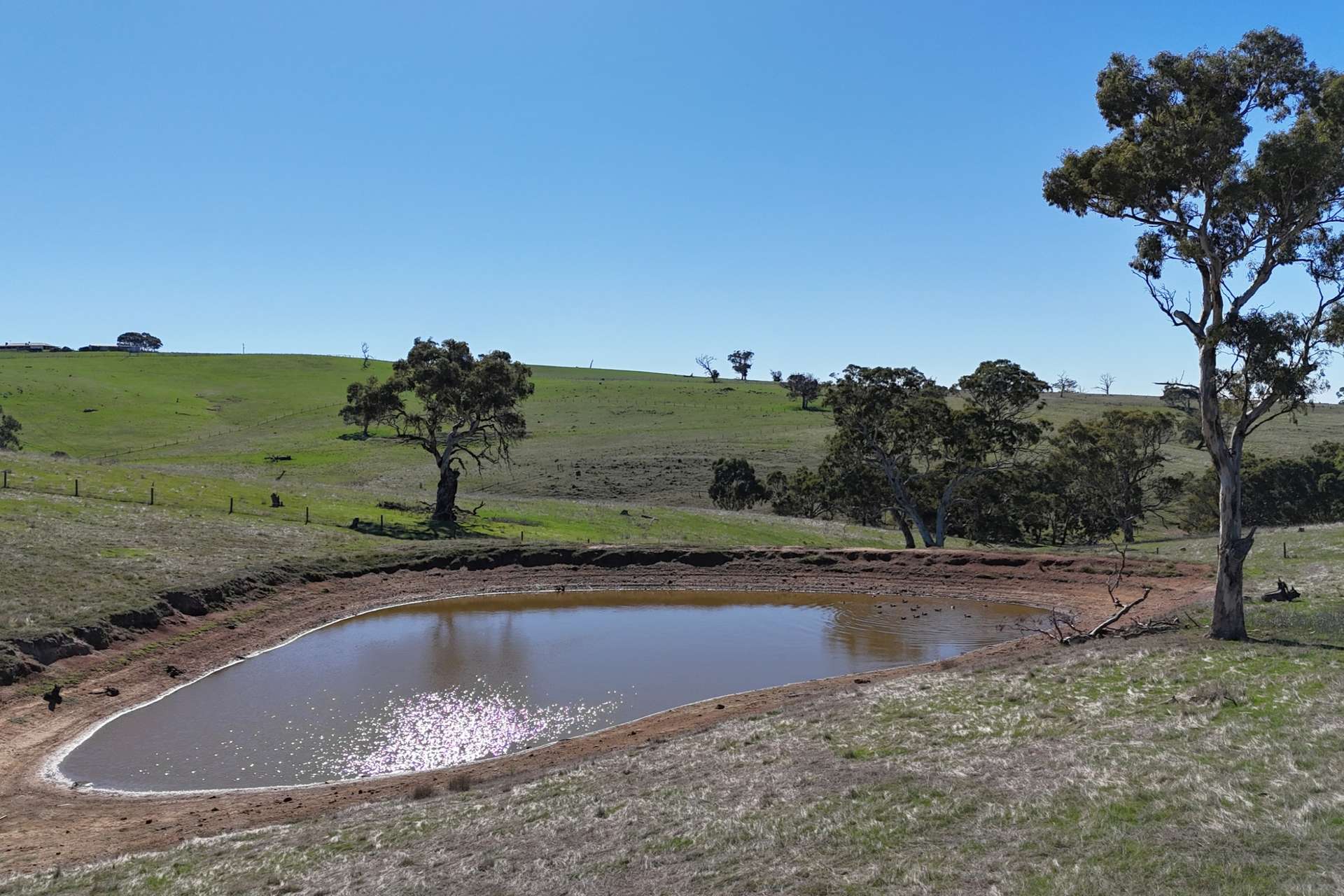549 Old Bull Creek Road, Strathalbyn For Sale by Farmbuy.com - image 21