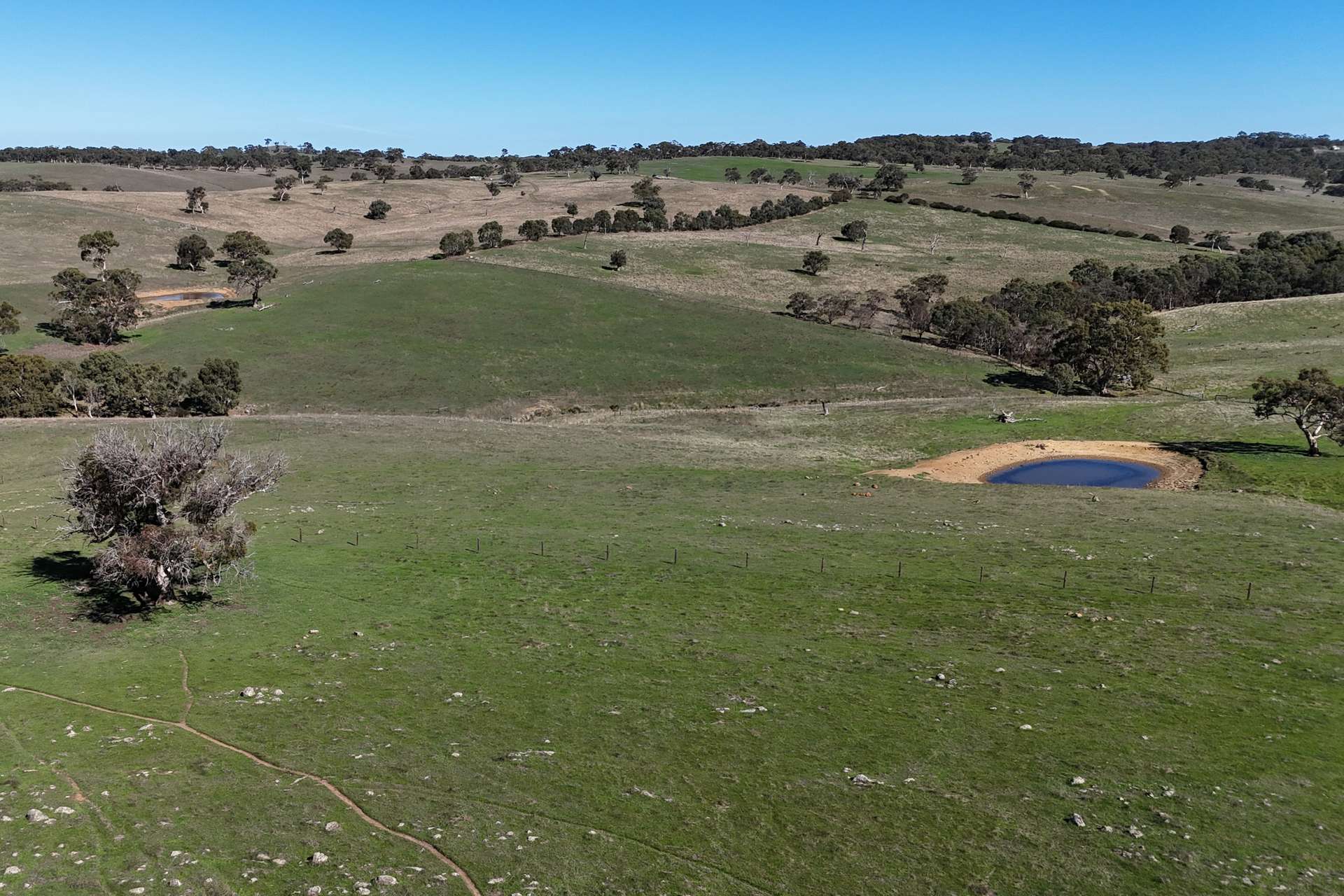 549 Old Bull Creek Road, Strathalbyn For Sale by Farmbuy.com - image 20