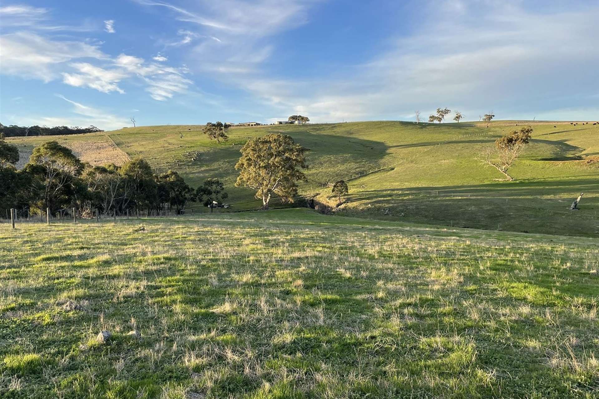 549 Old Bull Creek Road, Strathalbyn For Sale by Farmbuy.com - image 31