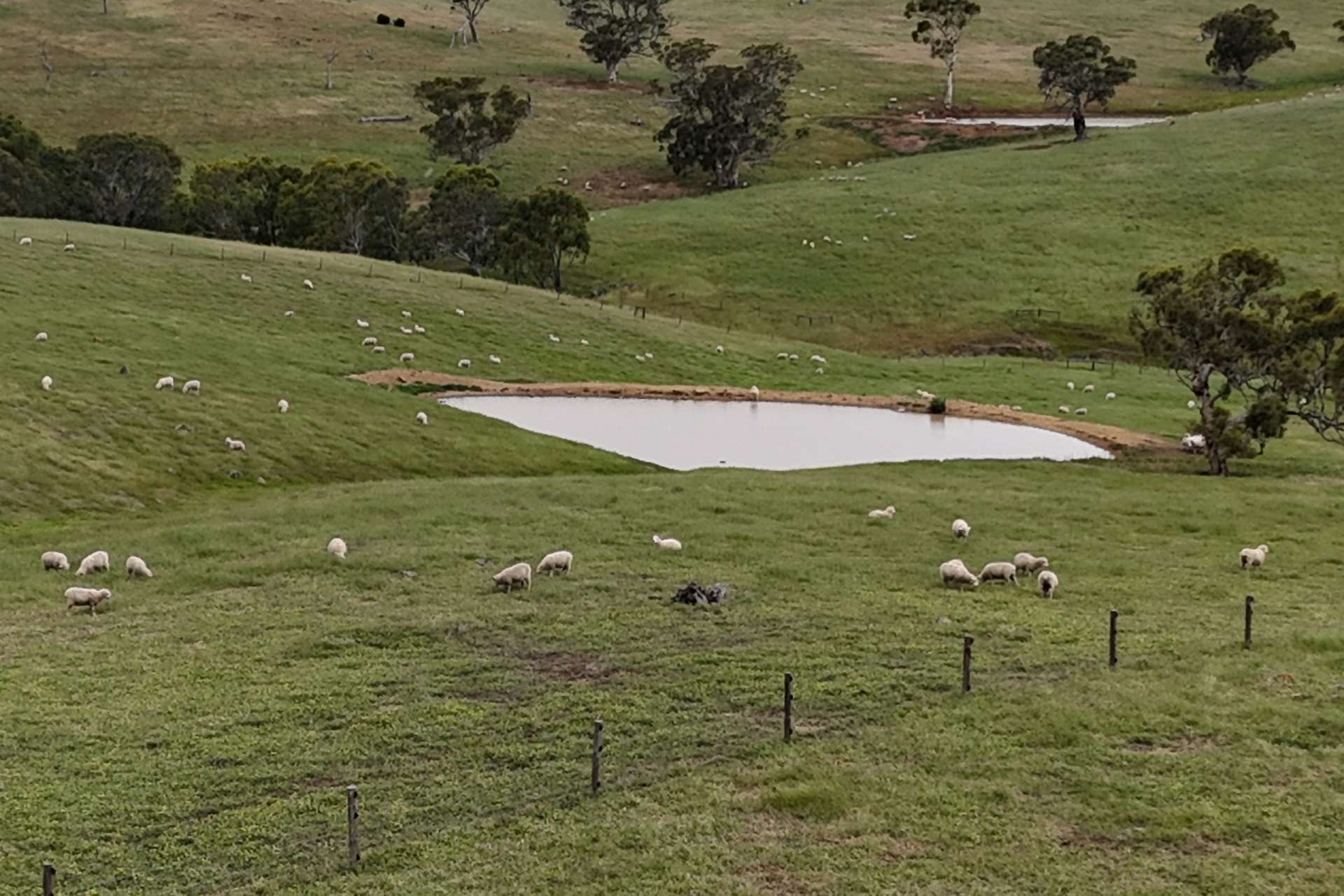 549 Old Bull Creek Road, Strathalbyn For Sale by Farmbuy.com - image 30