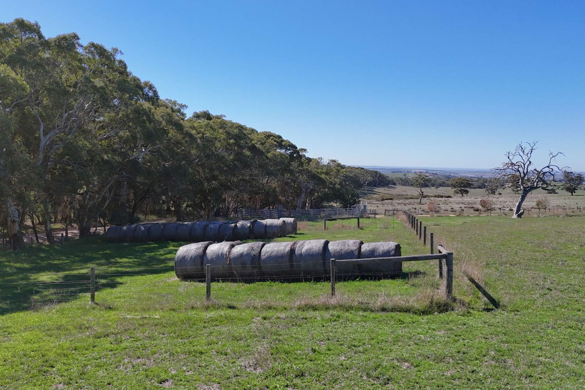 549 Old Bull Creek Road, Strathalbyn For Sale by Farmbuy.com - image 25