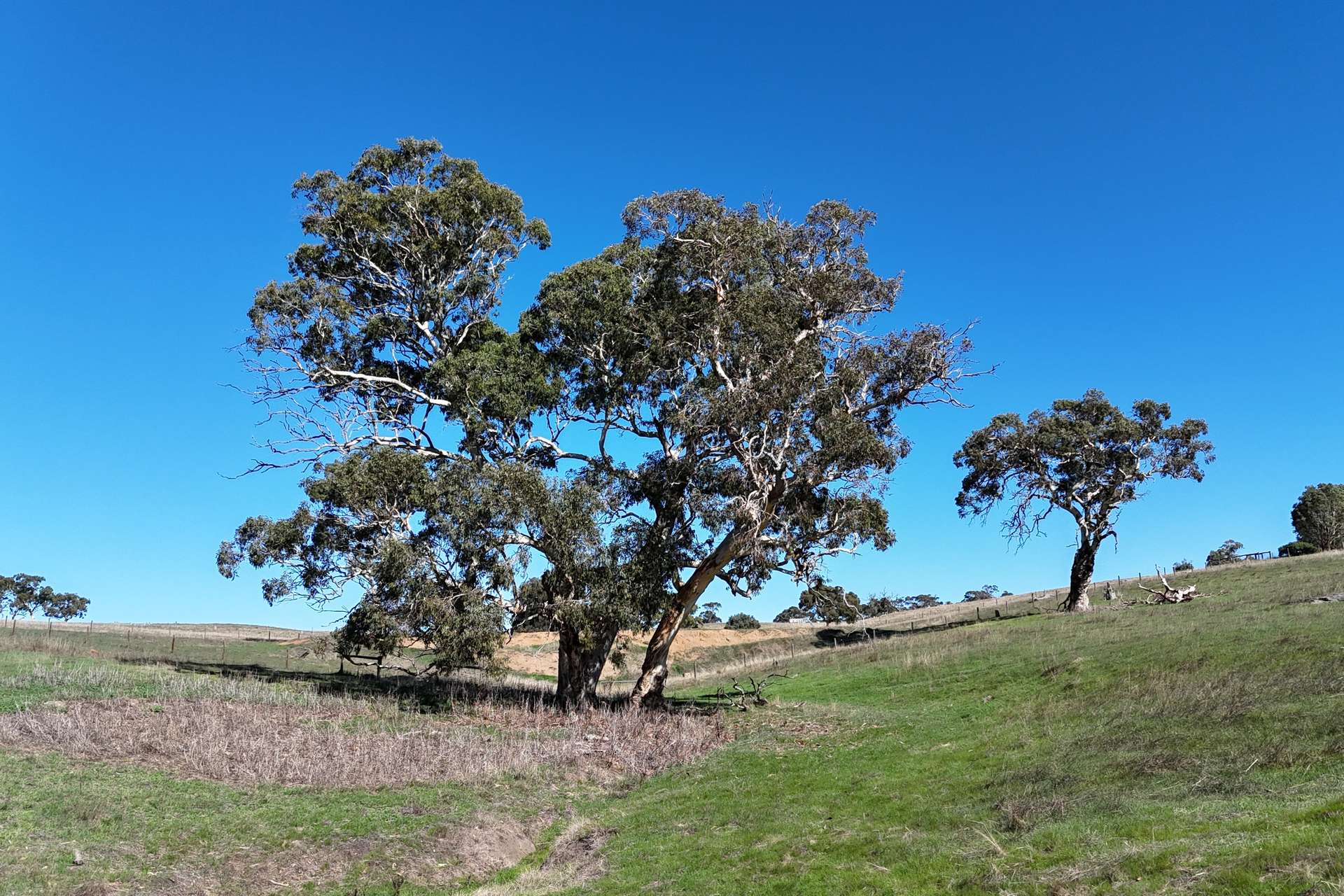 549 Old Bull Creek Road, Strathalbyn For Sale by Farmbuy.com - image 26
