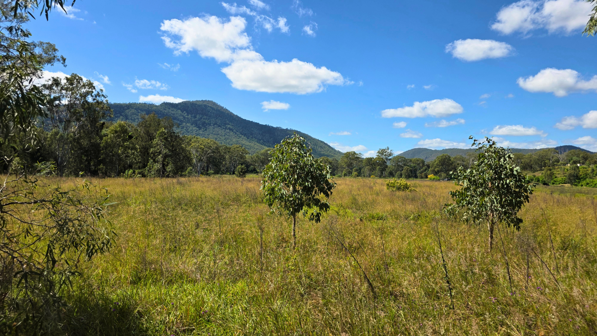 Gayndah - Mount Perry Road, Mount Perry For Sale by Farmbuy.com - image 5