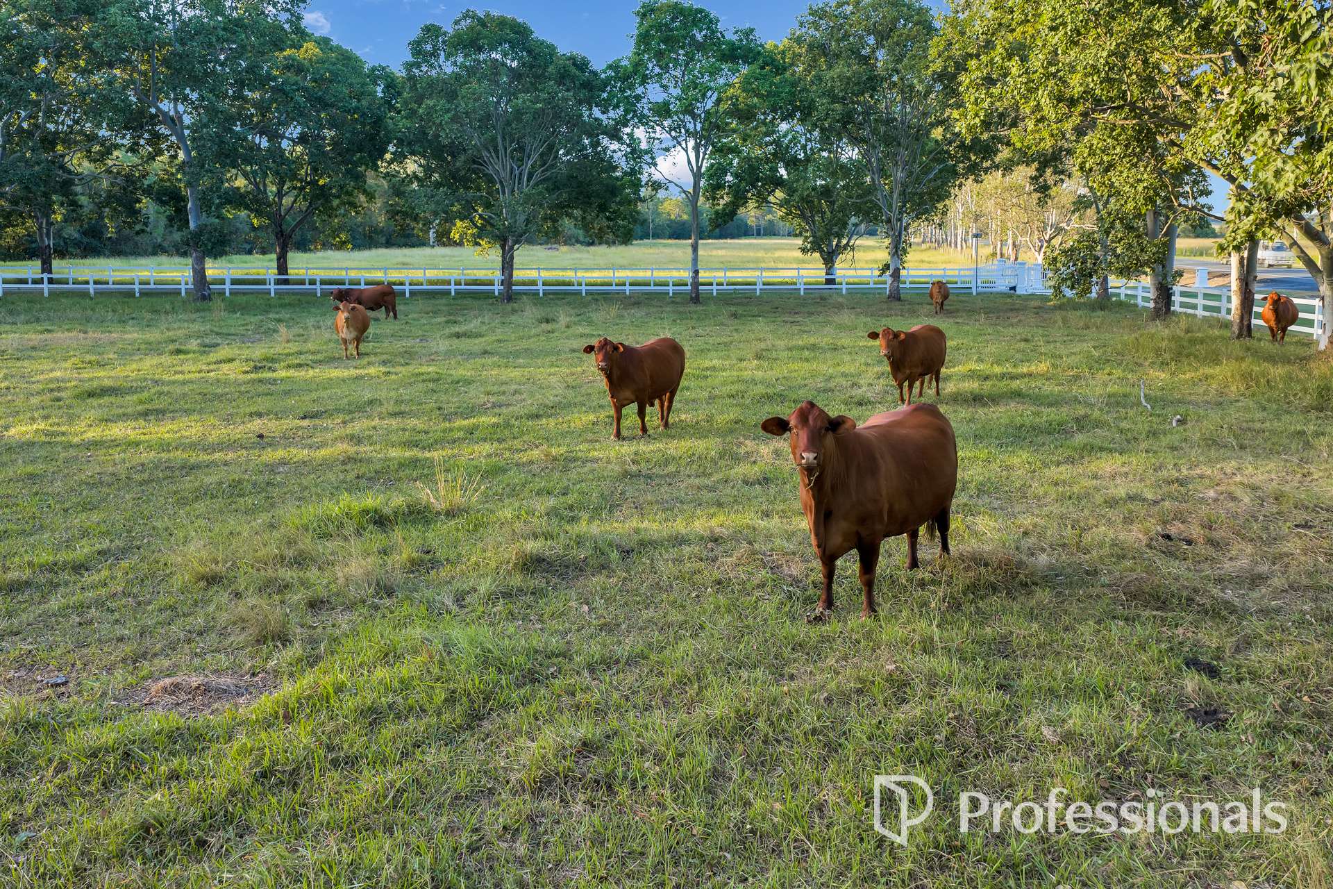 420 Mary Valley Road, The Dawn For Sale by Farmbuy.com - image 28