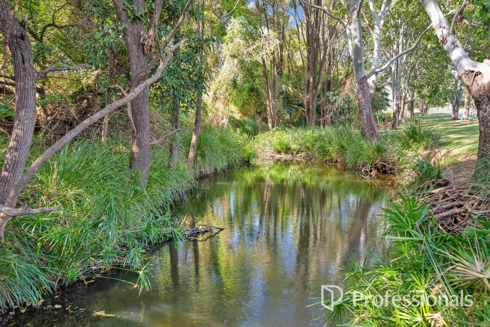 420 Mary Valley Road, The Dawn For Sale by Farmbuy.com - image 28