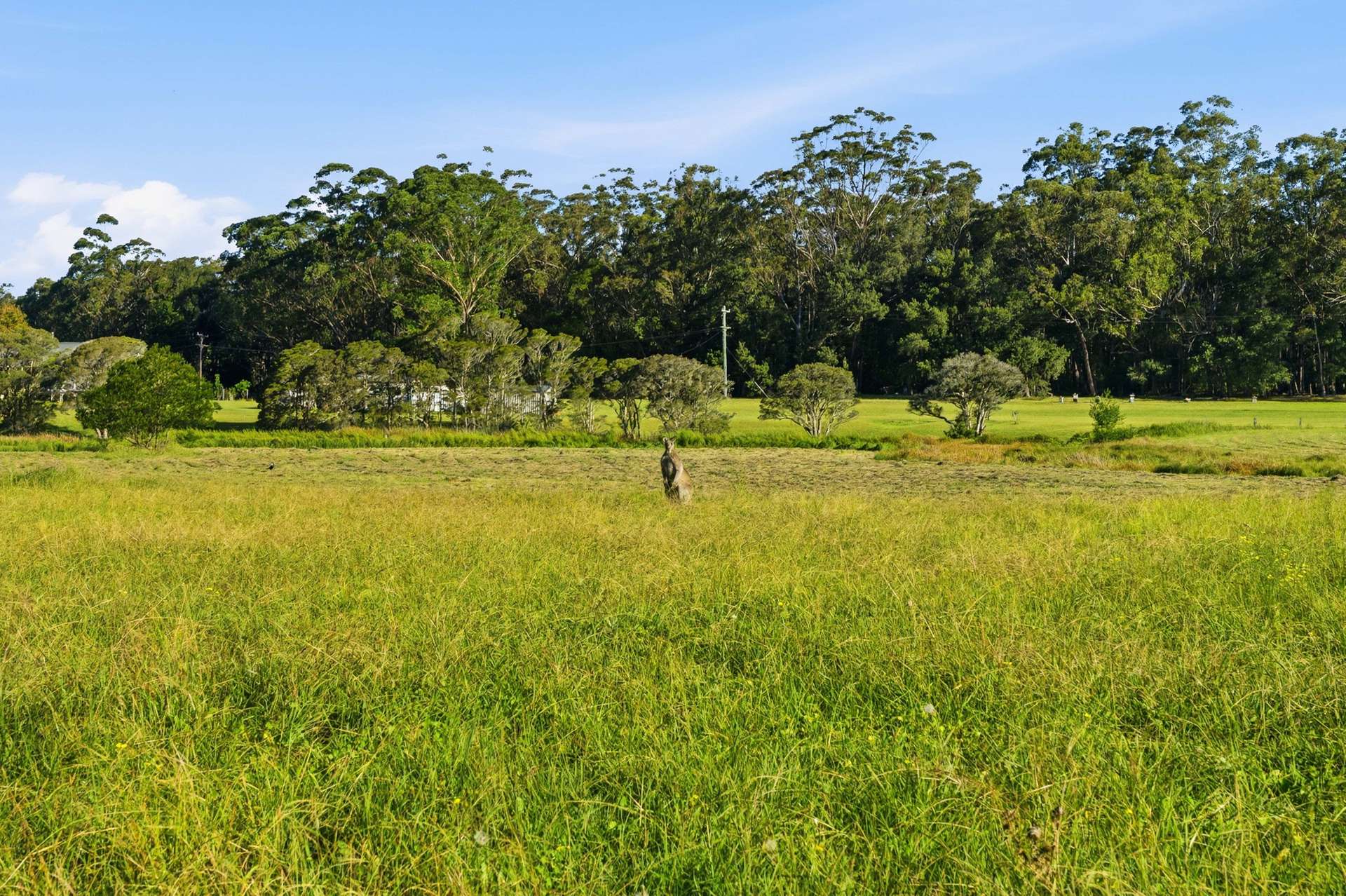 122 Bollerang Road, Wandandian For Sale by Farmbuy.com - image 23
