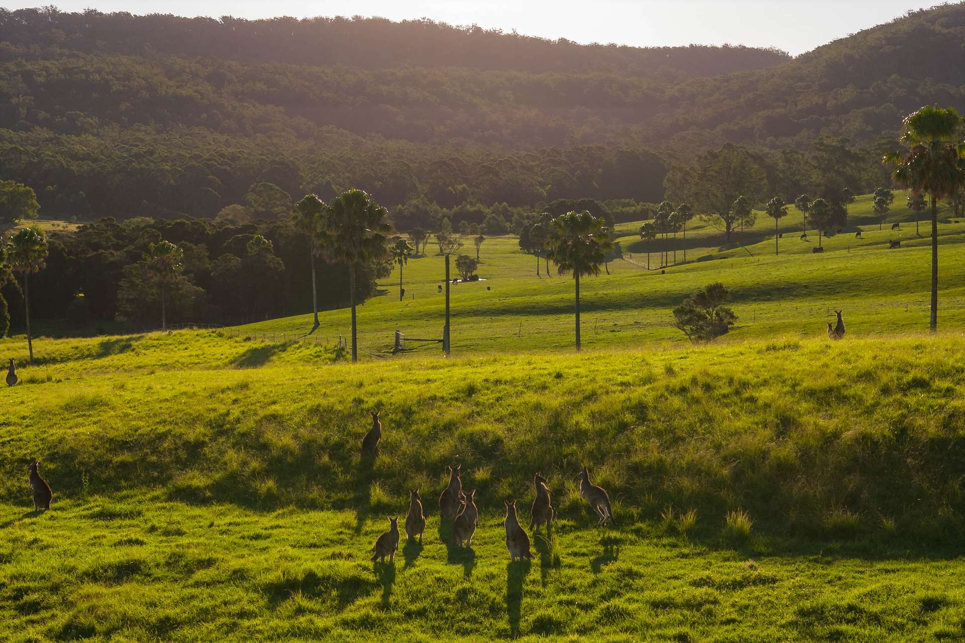 122 Bollerang Road, Wandandian For Sale by Farmbuy.com - image 26