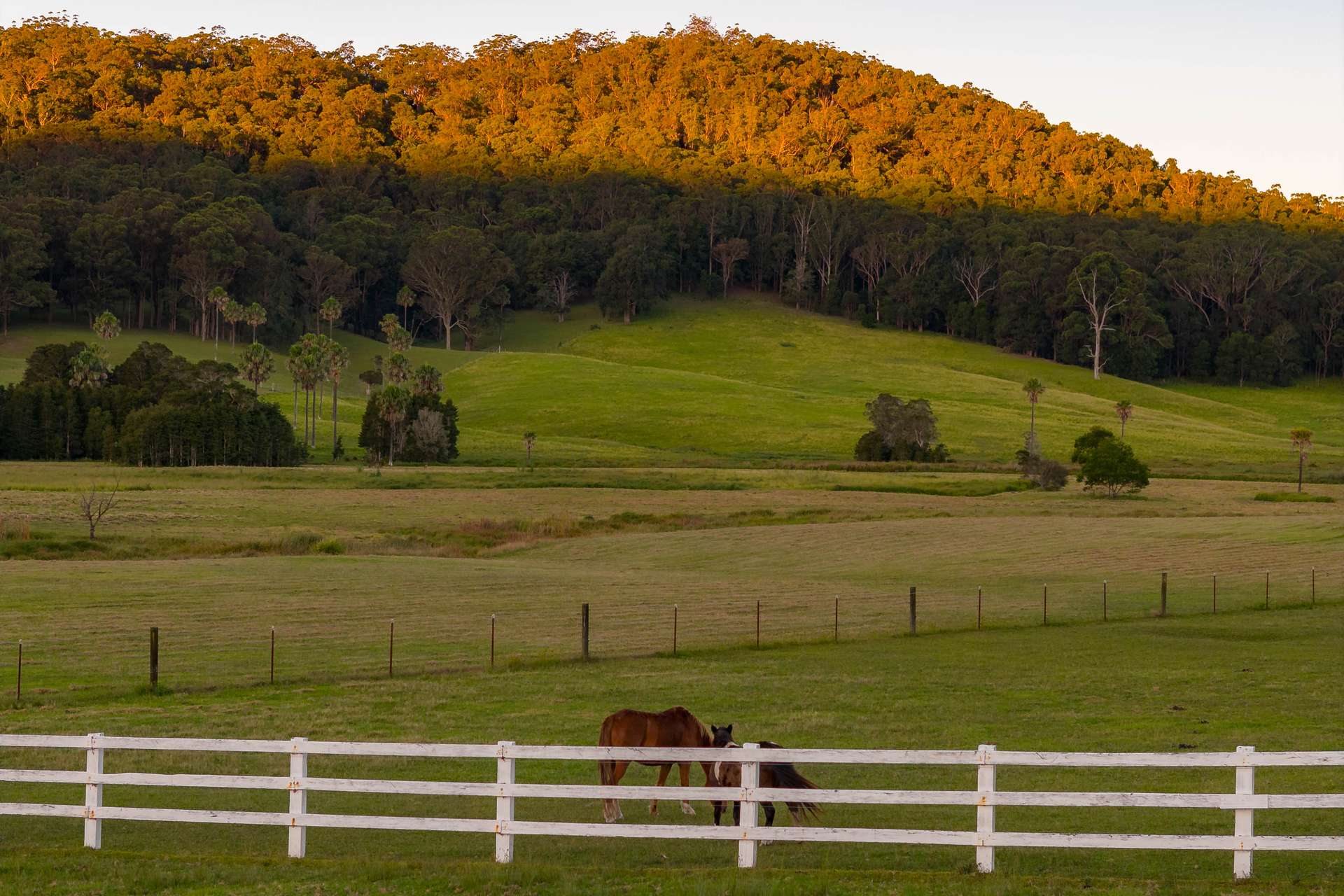 122 Bollerang Road, Wandandian For Sale by Farmbuy.com - image 5