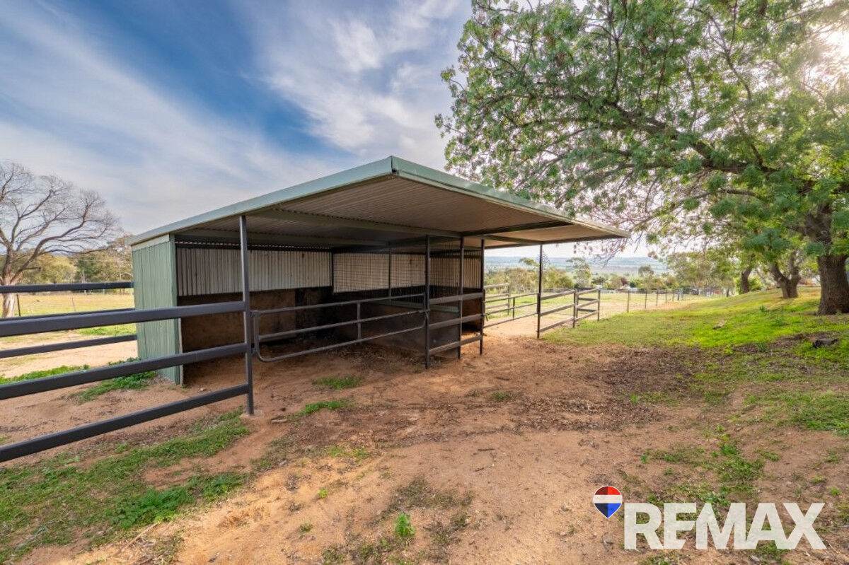 3779 Olympic Highway, Junee For Sale by Farmbuy.com - image 22