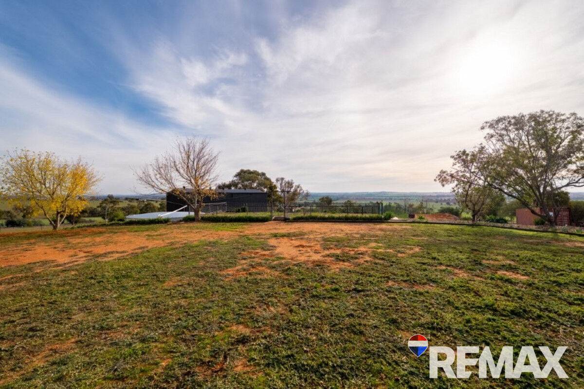 3779 Olympic Highway, Junee For Sale by Farmbuy.com - image 24