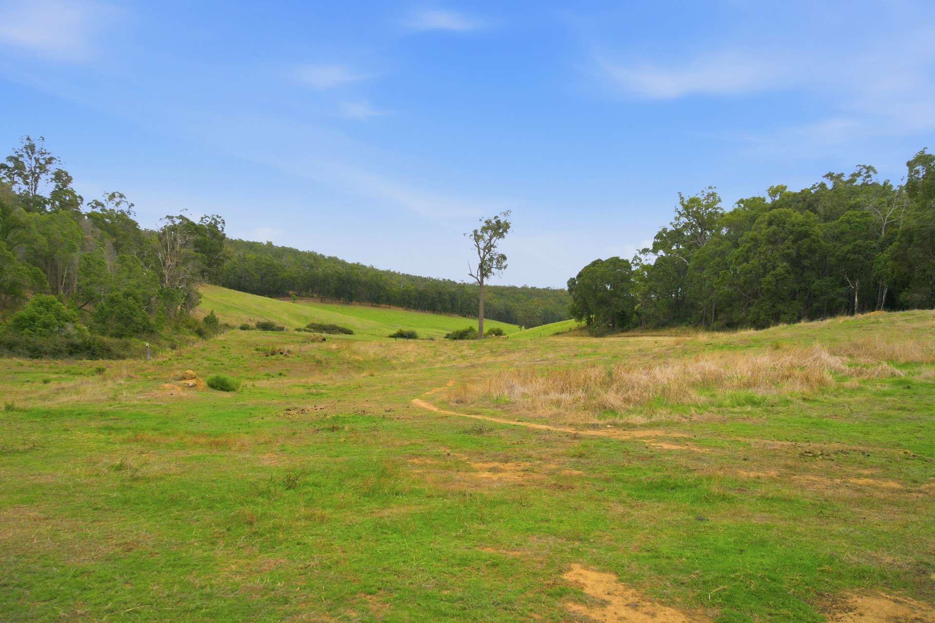 267 Gold Gully Road, East Nannup For Sale by Farmbuy.com - image 35