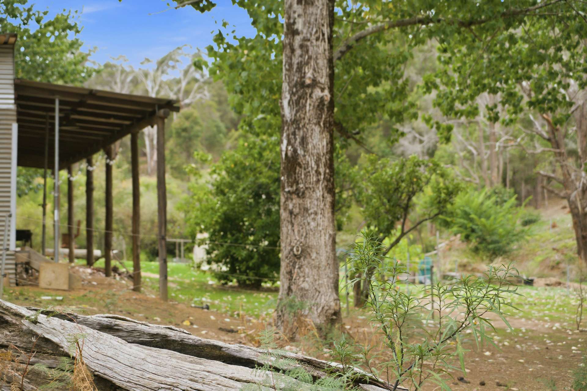 267 Gold Gully Road, East Nannup For Sale by Farmbuy.com - image 22