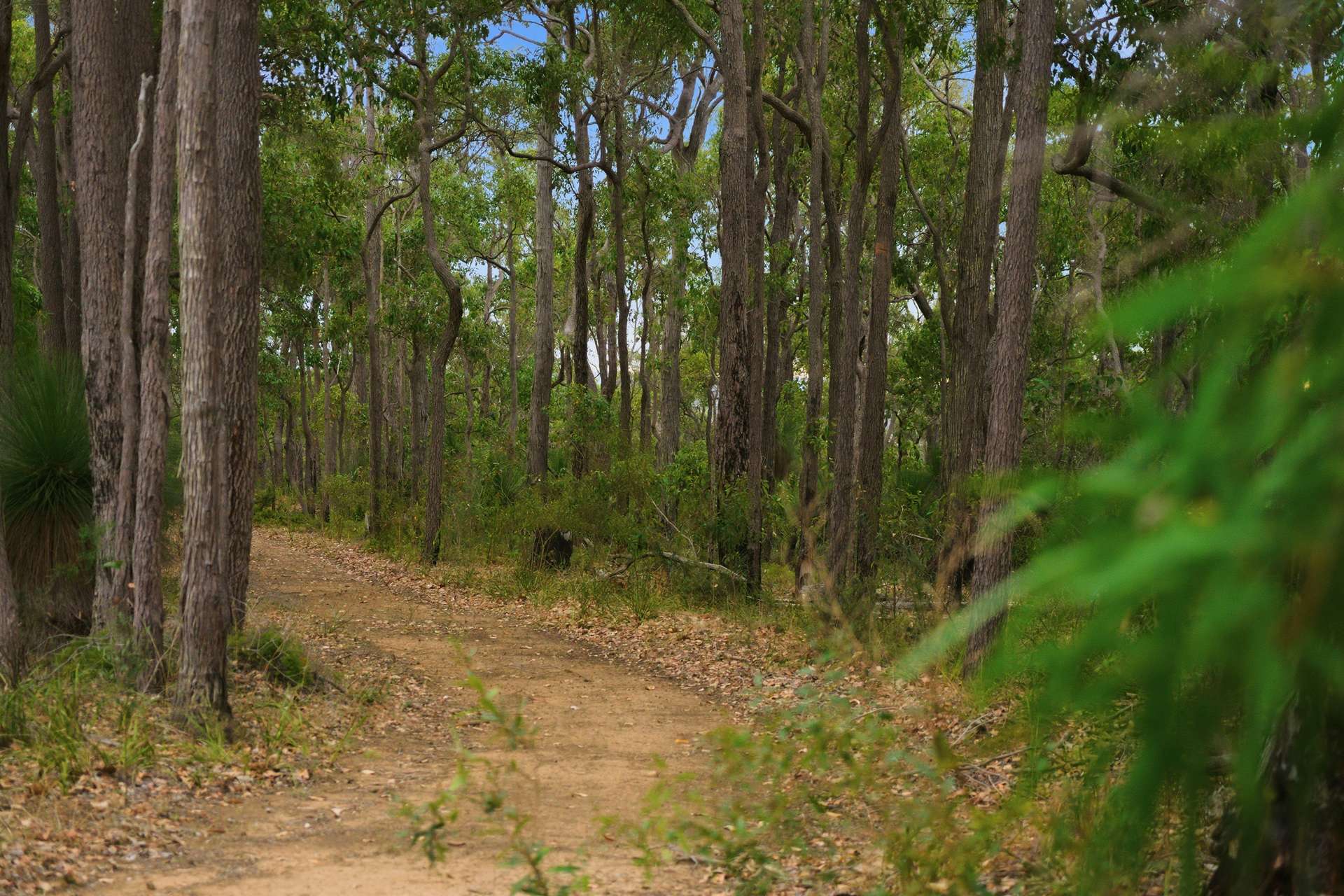267 Gold Gully Road, East Nannup For Sale by Farmbuy.com - image 24