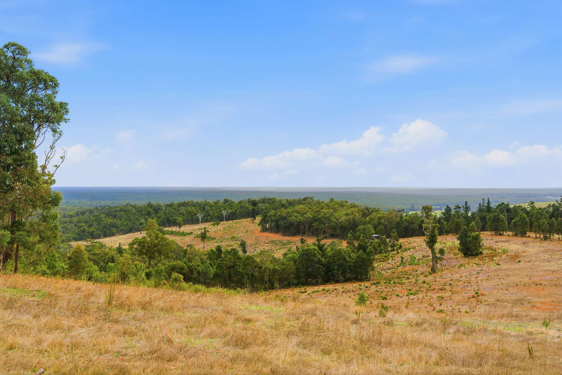 267 Gold Gully Road, East Nannup For Sale by Farmbuy.com - image 35