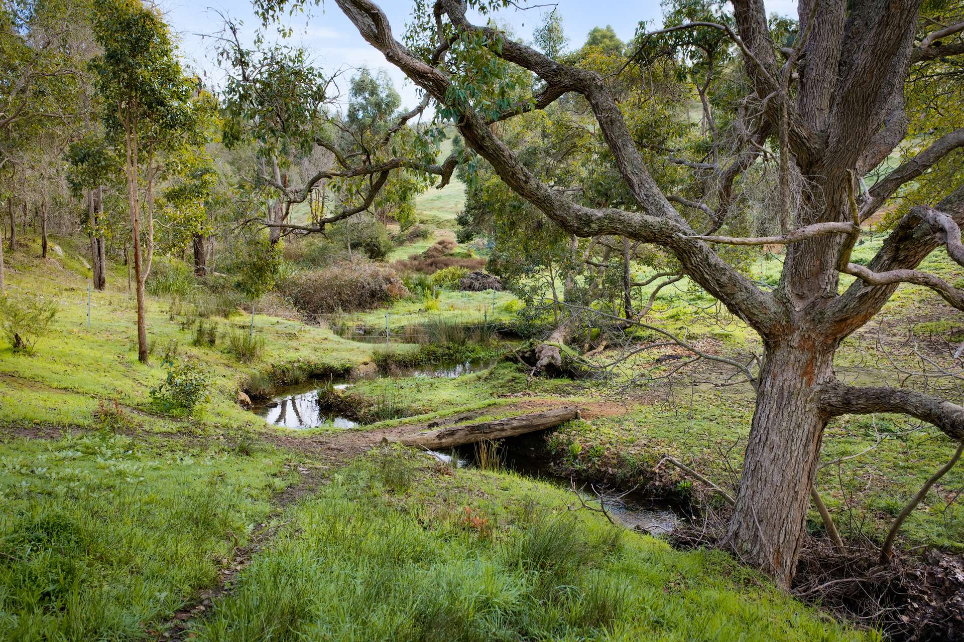 267 Gold Gully Road, East Nannup For Sale by Farmbuy.com - image 23