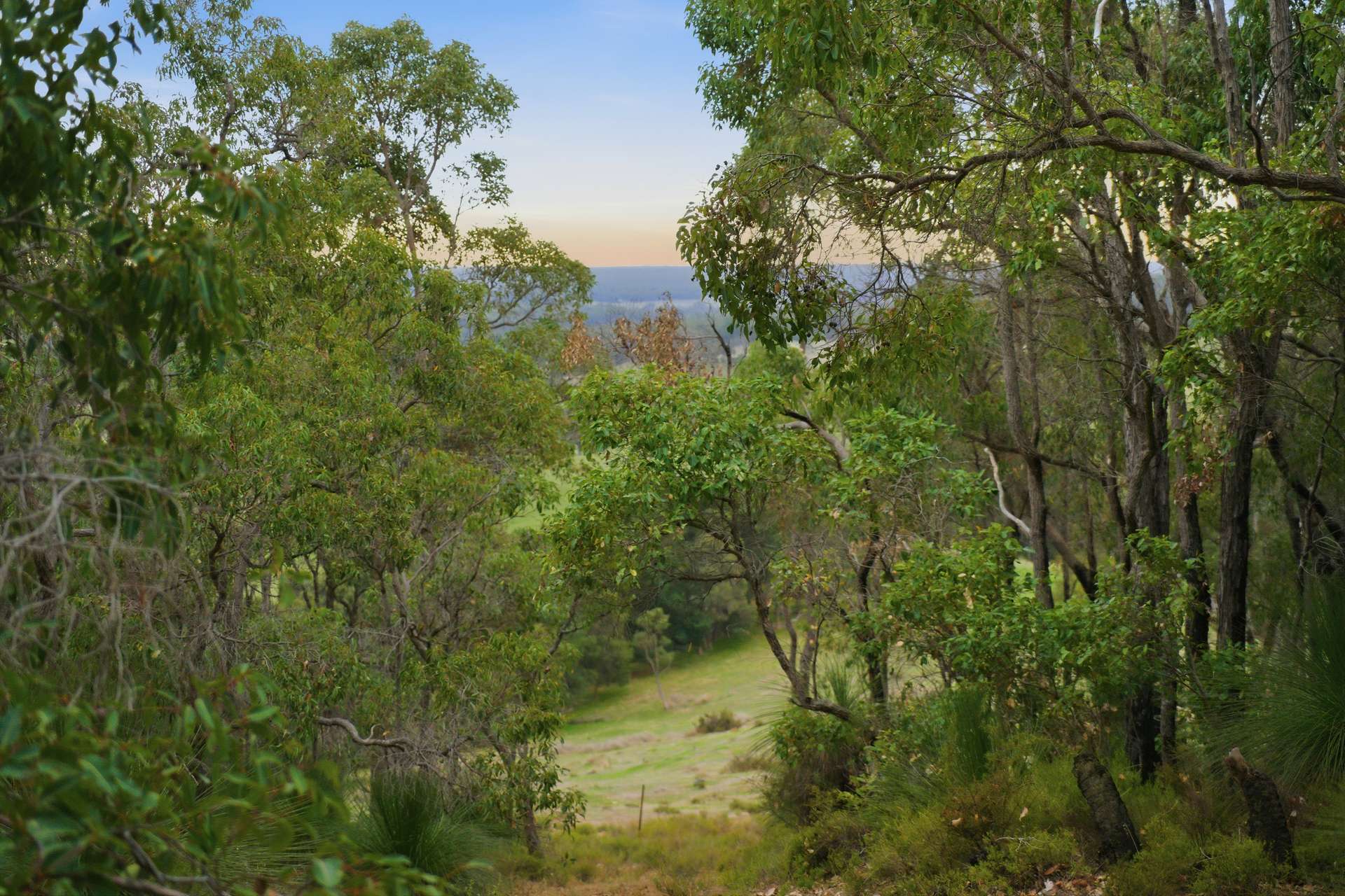 267 Gold Gully Road, East Nannup For Sale by Farmbuy.com - image 34
