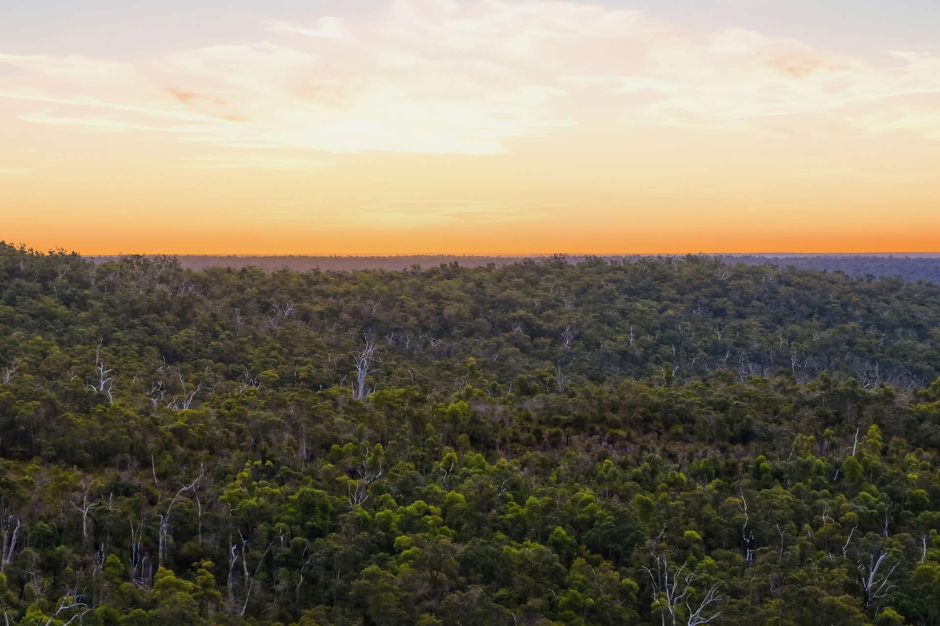 267 Gold Gully Road, East Nannup For Sale by Farmbuy.com - image 3