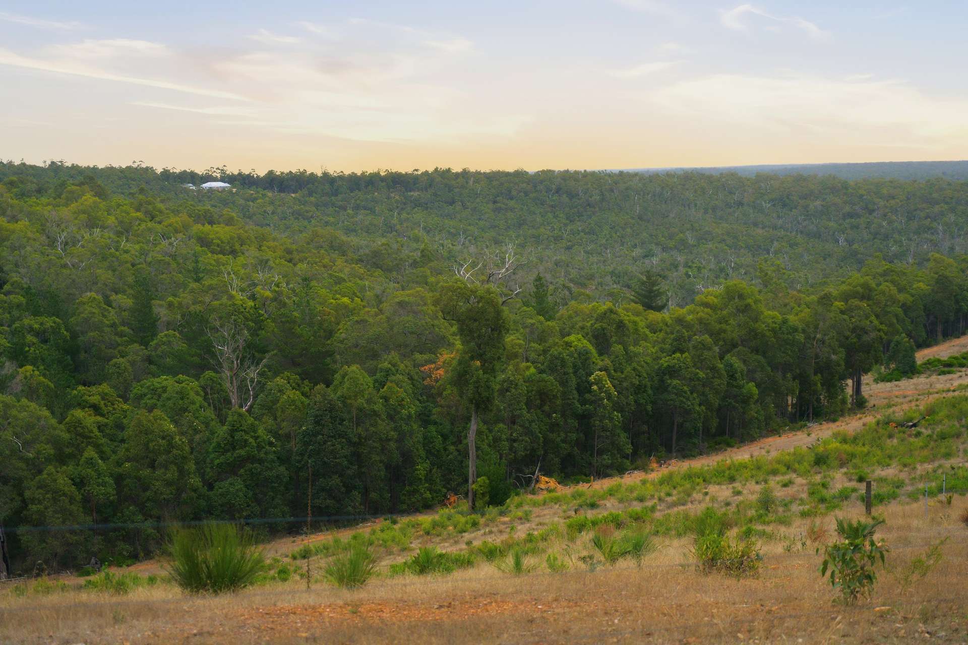 267 Gold Gully Road, East Nannup For Sale by Farmbuy.com - image 33
