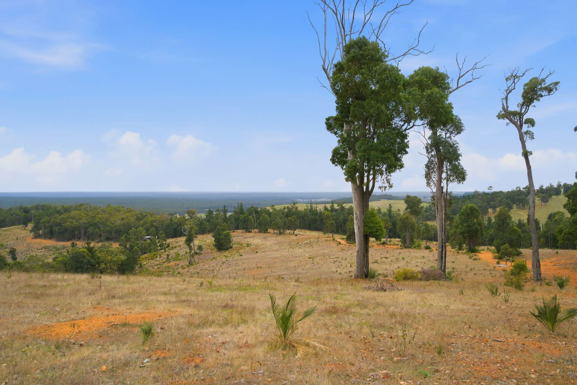267 Gold Gully Road, East Nannup For Sale by Farmbuy.com - image 30