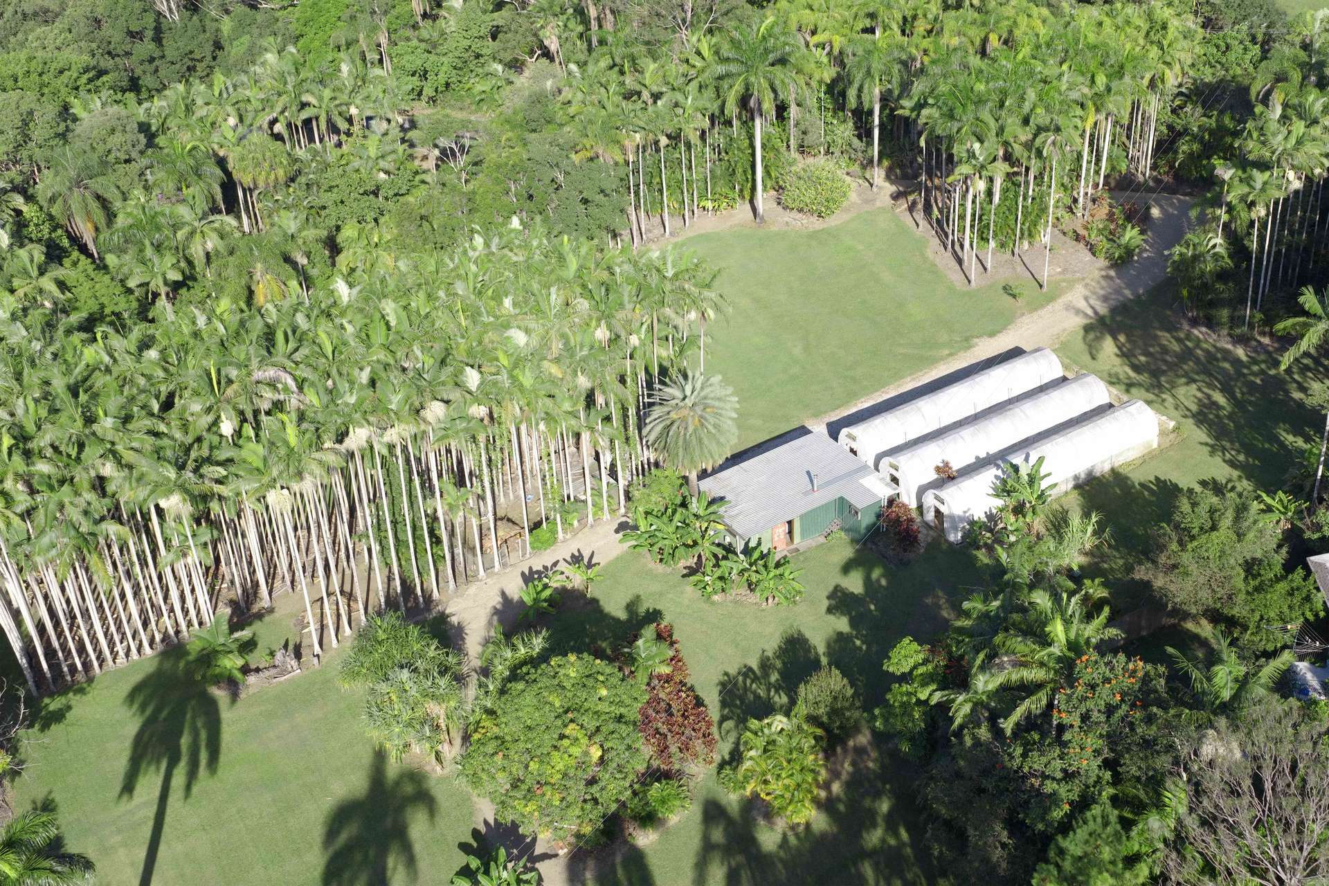 171 Billinudgel Road, Billinudgel For Sale by Farmbuy.com - image 33