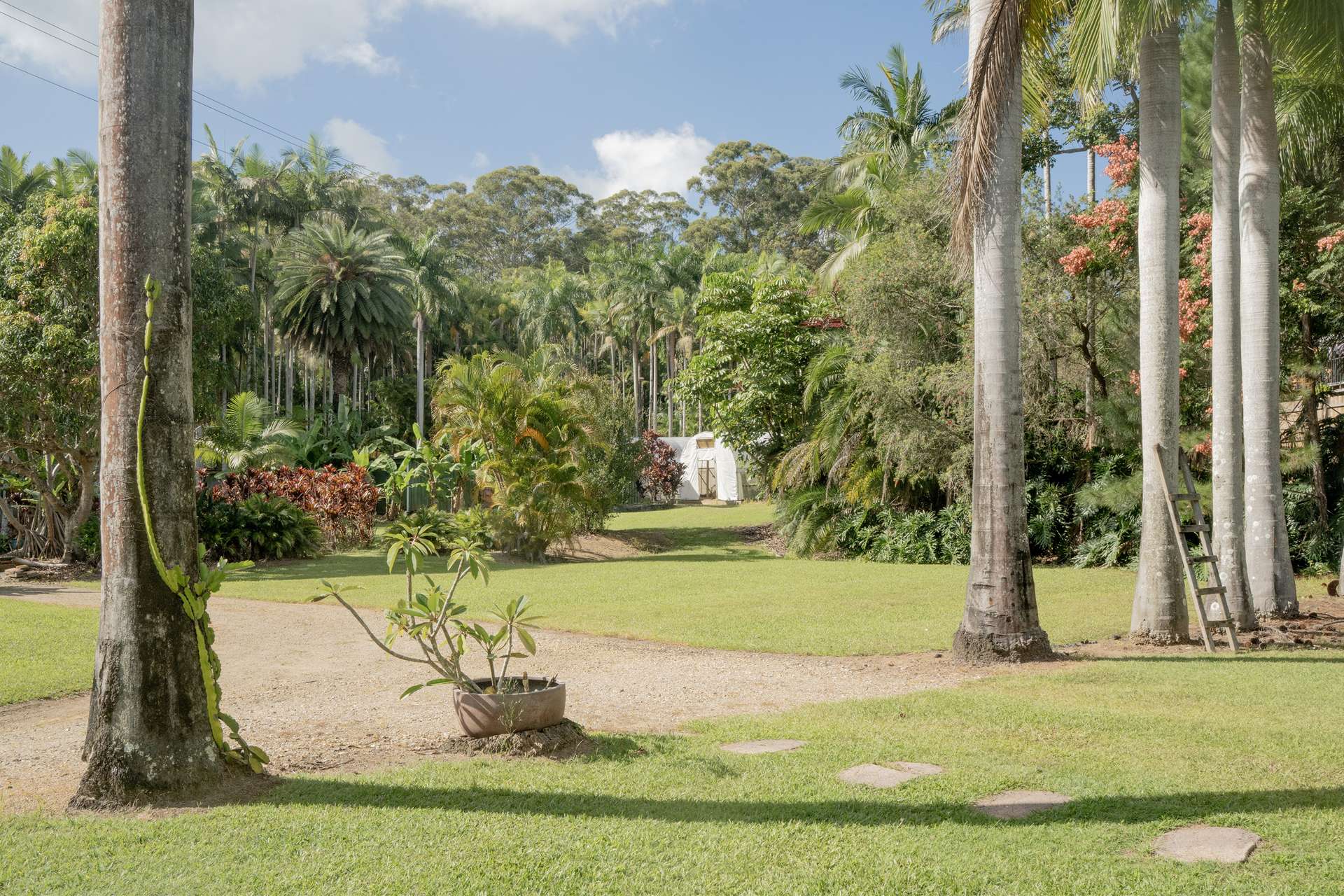 171 Billinudgel Road, Billinudgel For Sale by Farmbuy.com - image 33