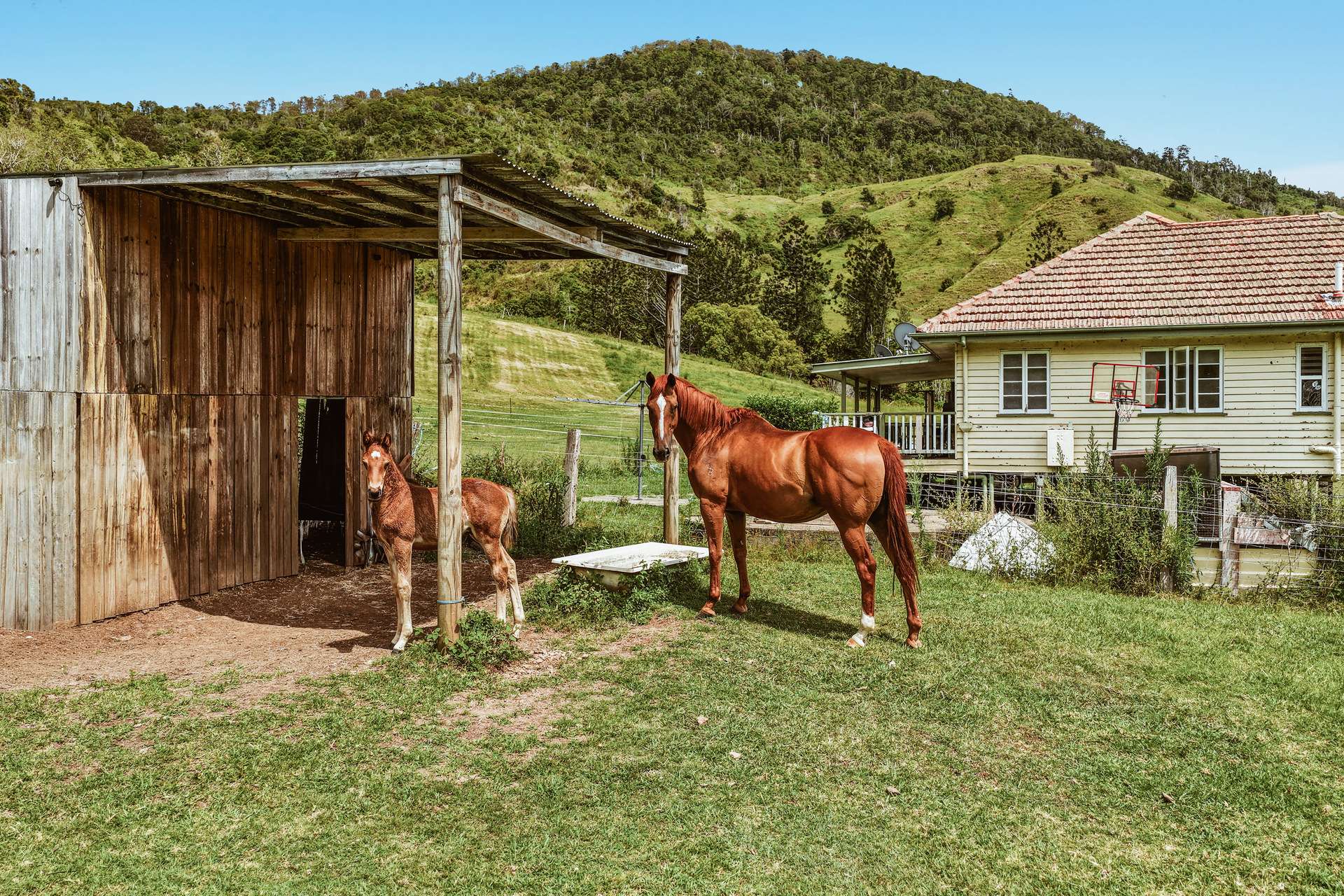 248 Illinbah Road, Illinbah For Sale by Farmbuy.com - image 24
