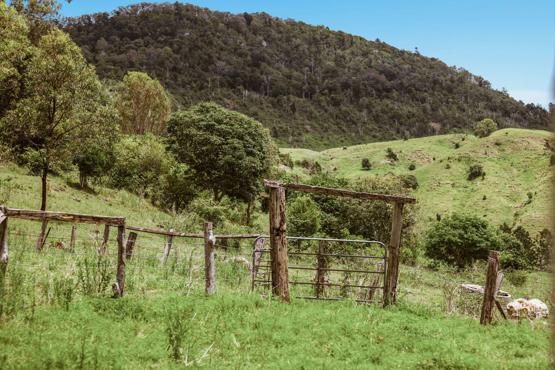 248 Illinbah Road, Illinbah For Sale by Farmbuy.com - image 7