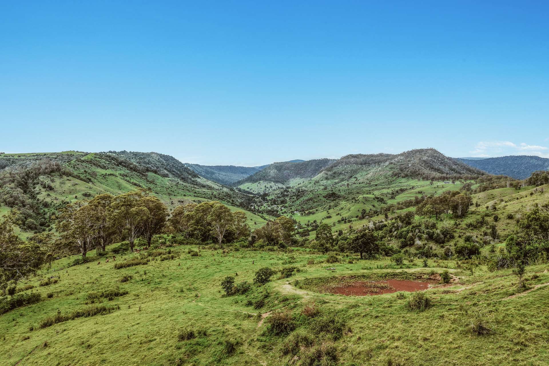248 Illinbah Road, Illinbah For Sale by Farmbuy.com - image 10