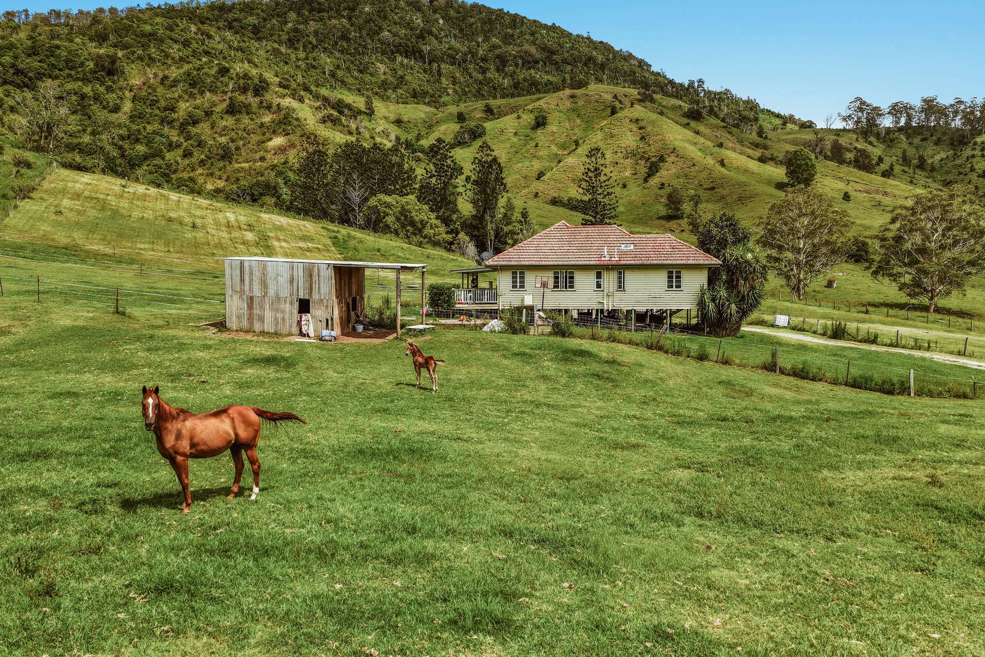248 Illinbah Road, Illinbah For Sale by Farmbuy.com - image 13