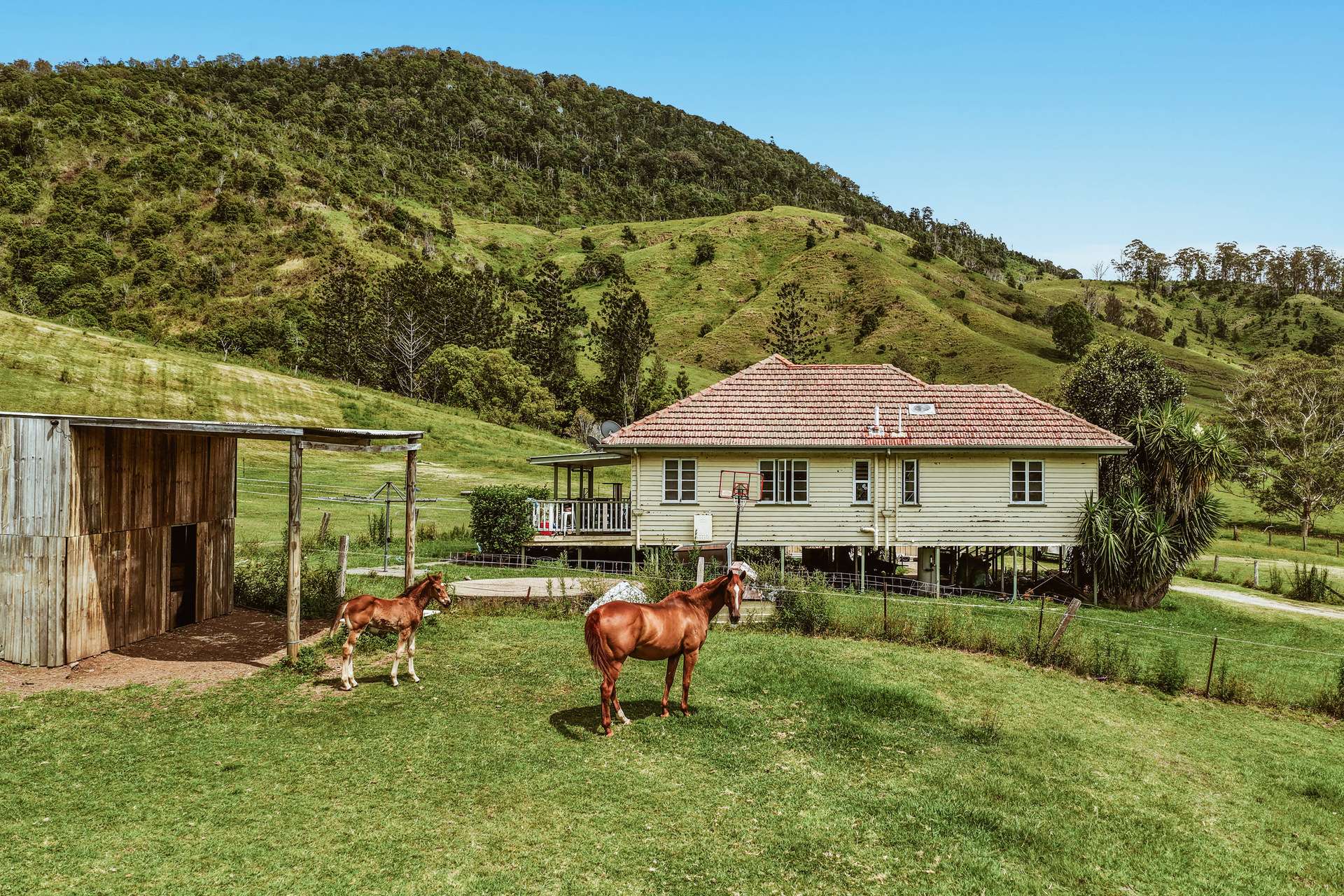 248 Illinbah Road, Illinbah For Sale by Farmbuy.com - image 2