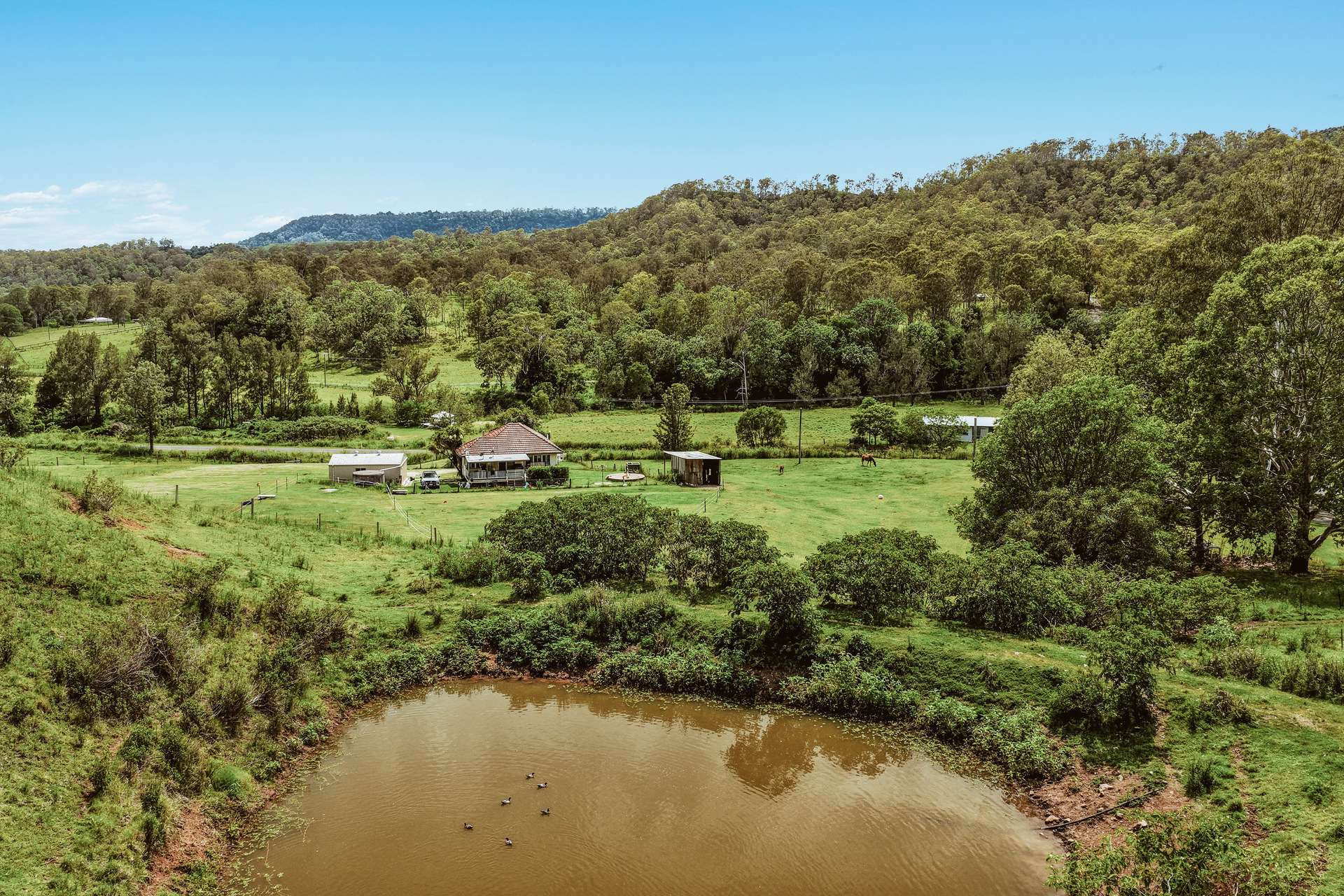 248 Illinbah Road, Illinbah For Sale by Farmbuy.com - image 19
